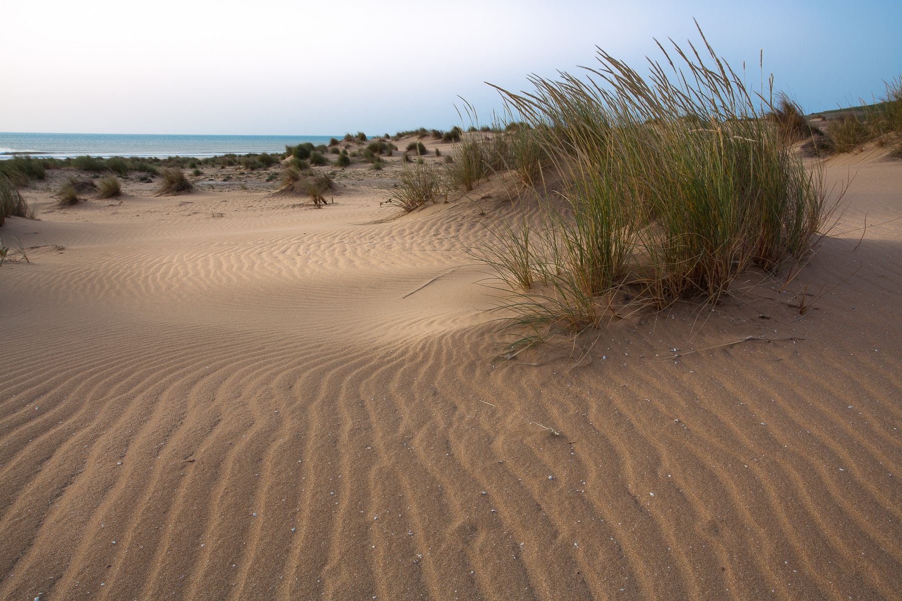 Vento, sabbia e sale