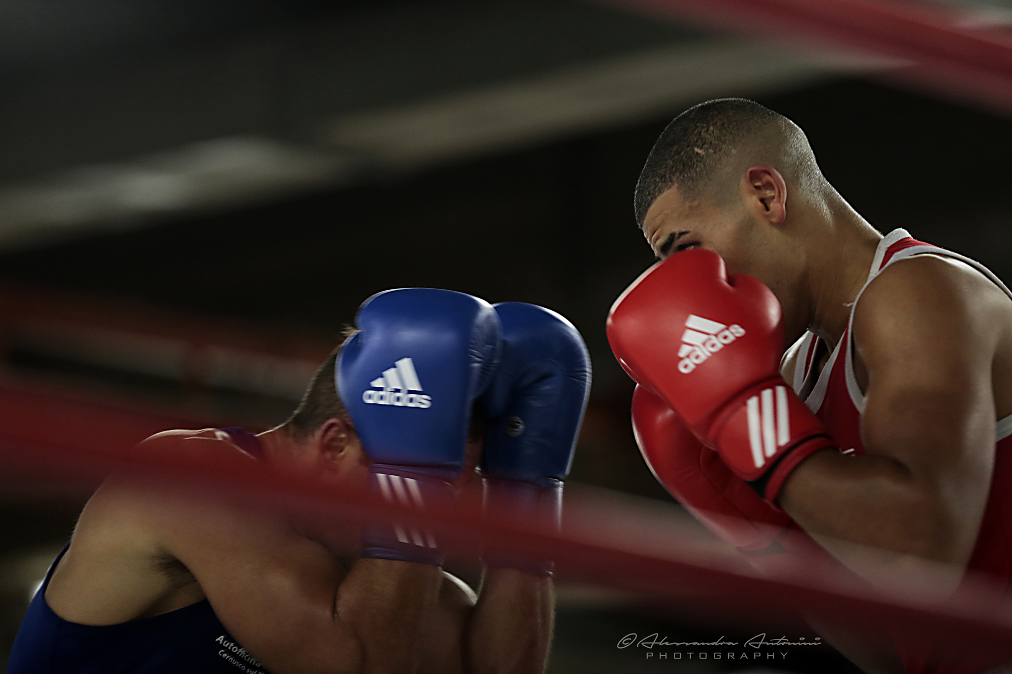 Lombardy FPI Semifinals Championships. Li Elite 2018