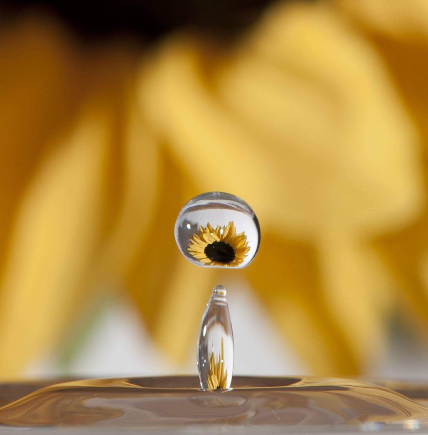 In a drop