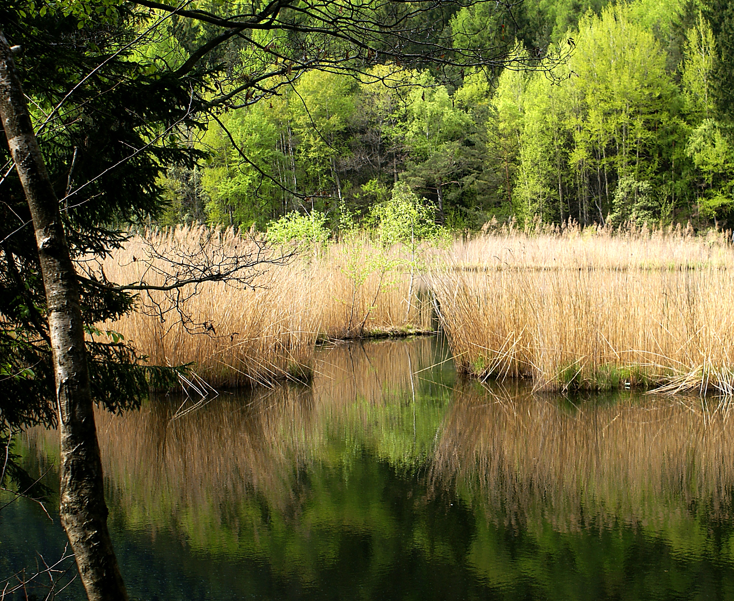 The lake of Varna (Bressanone - BZ): intimacy