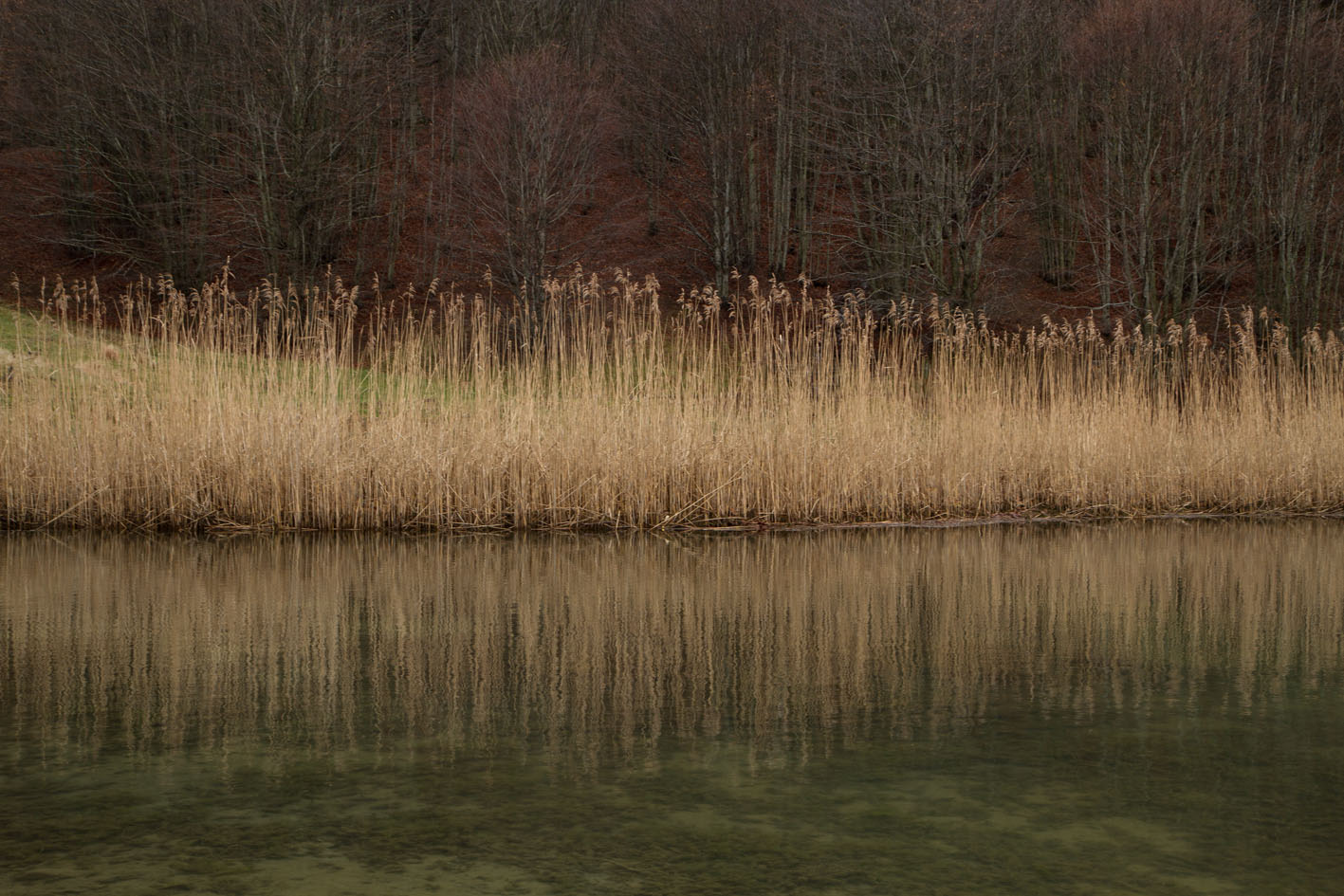 Riflessi
