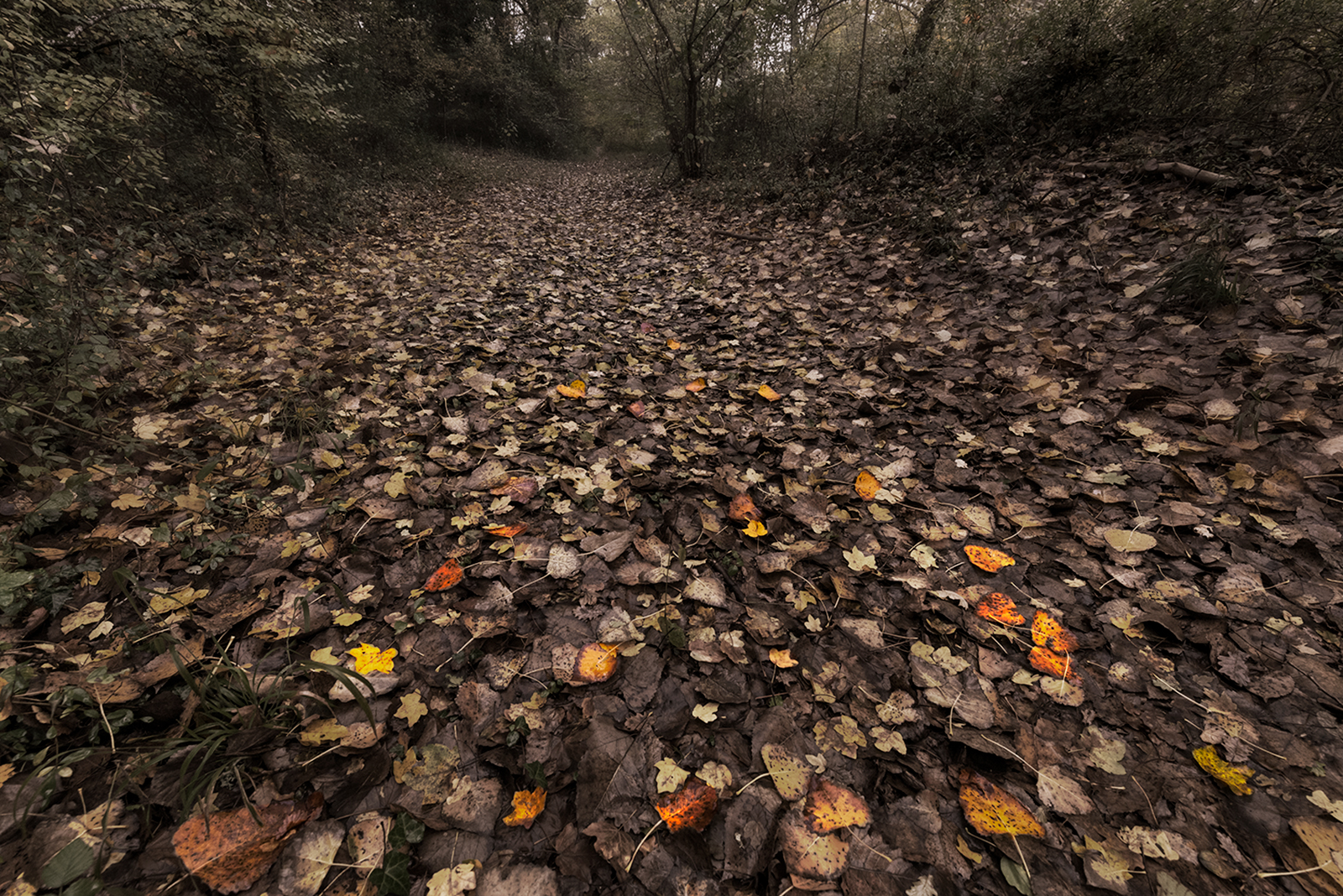 Not everything is white or black...