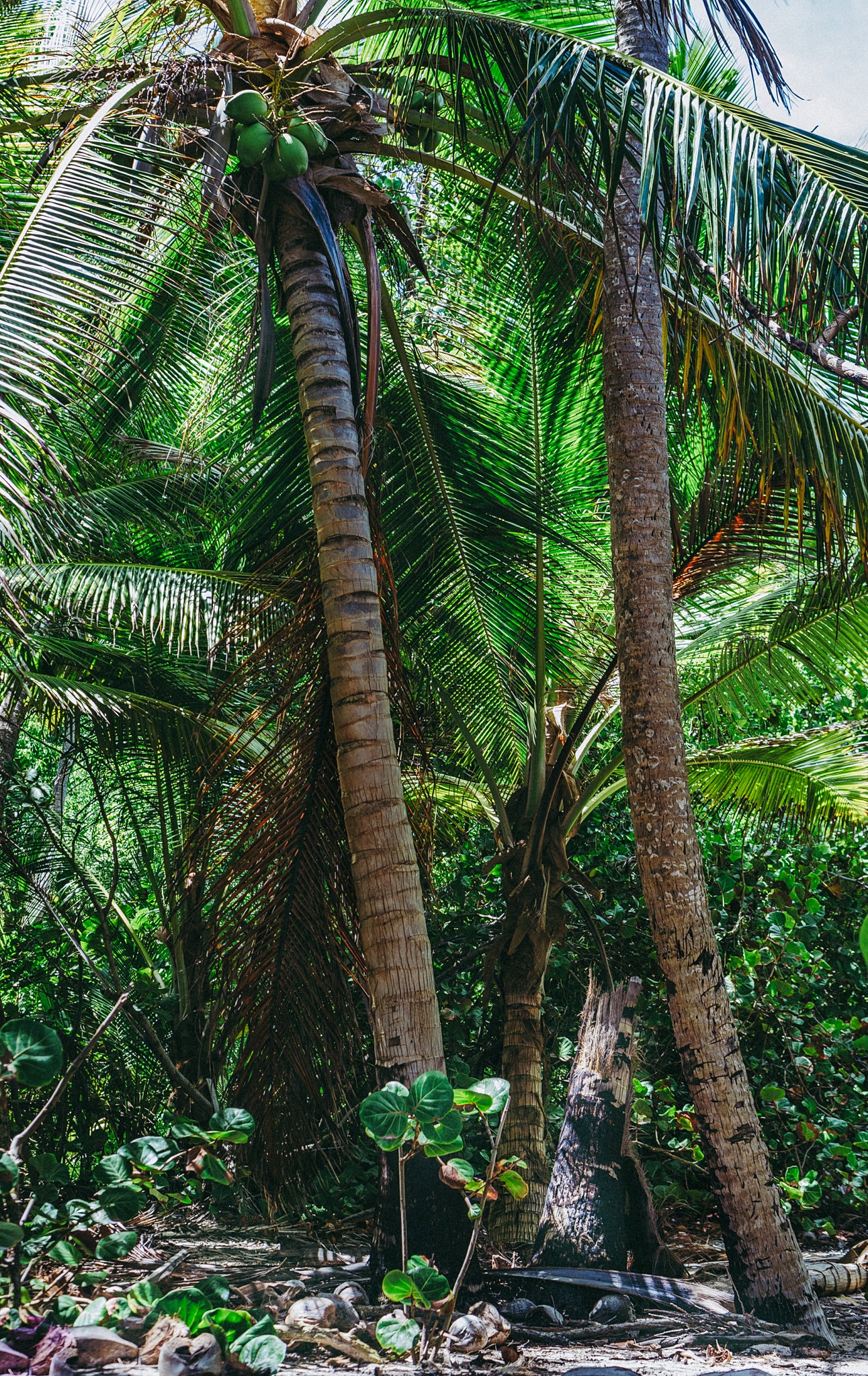 Vicino alla spiaggia