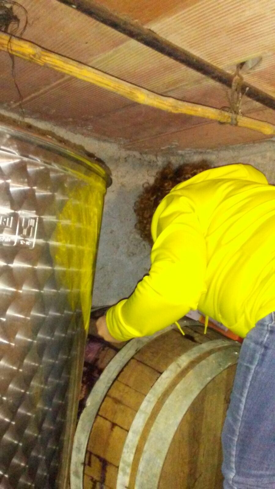 A san Martino ogni mosto è vino.