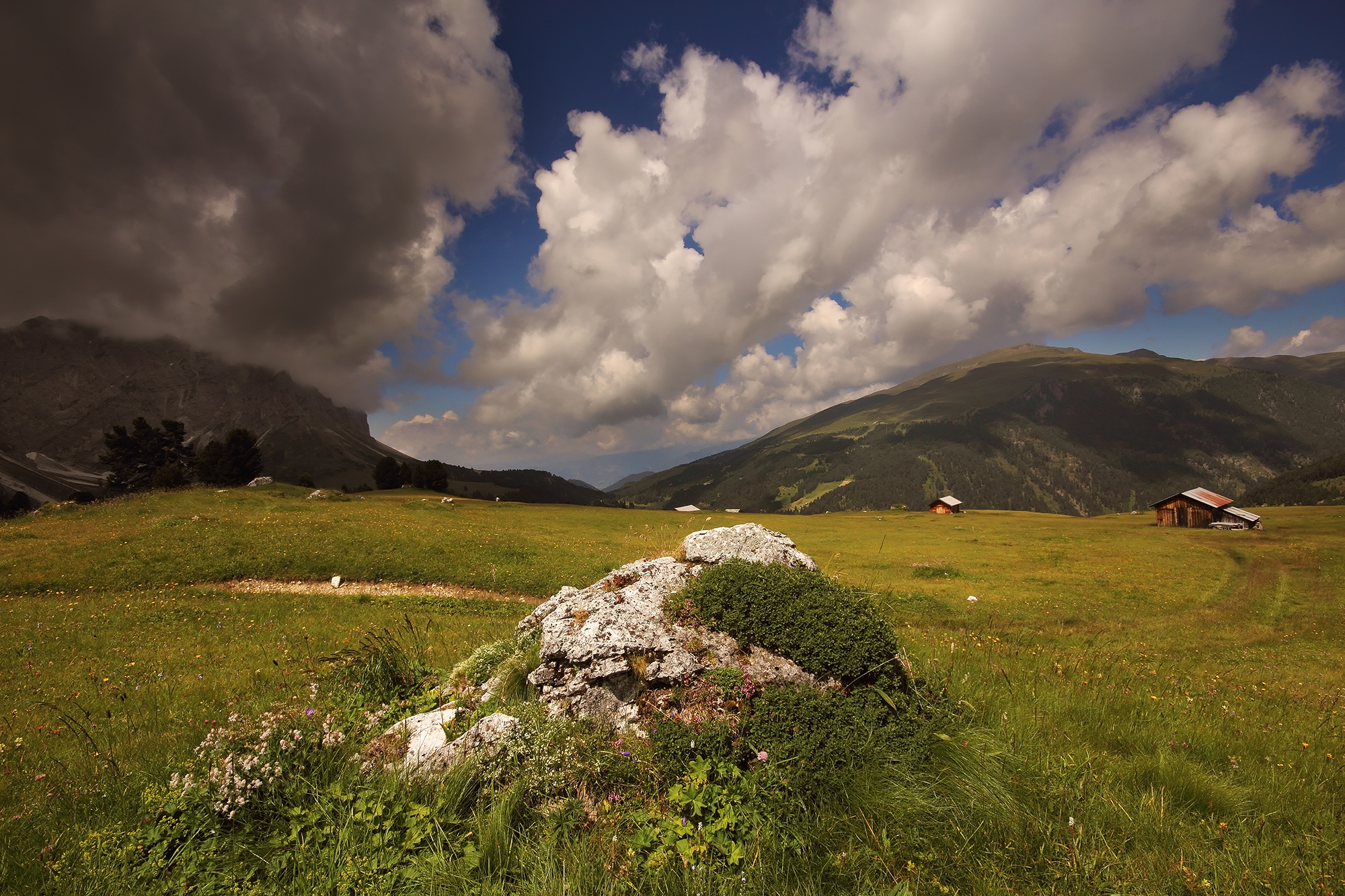 Puez Odle Nature Park