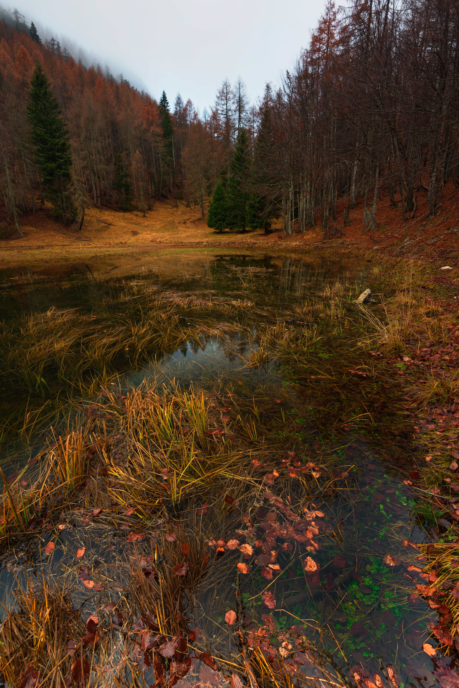 Chaos... apparent and perfect.