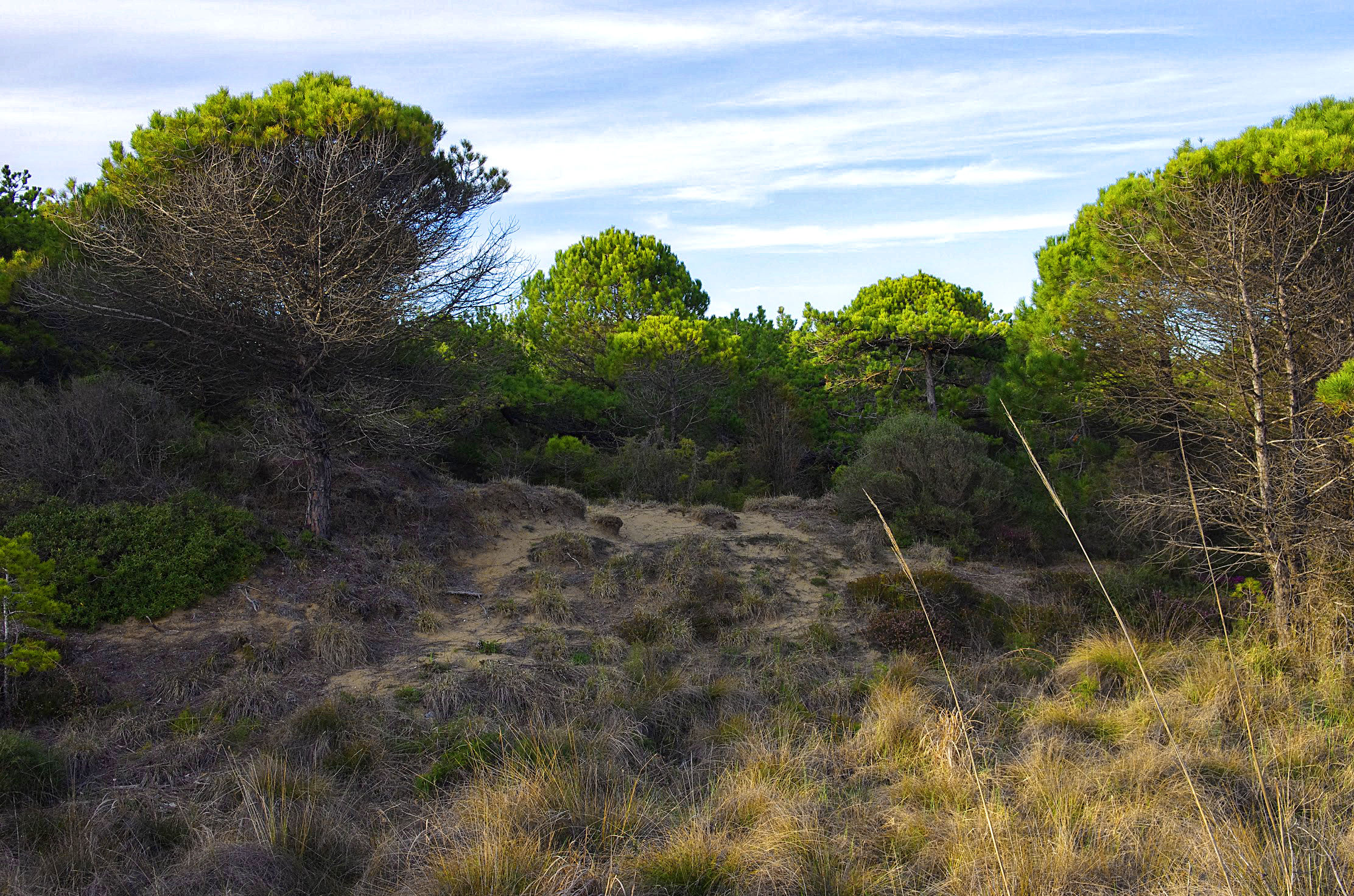 Walking towards the Lighthouse