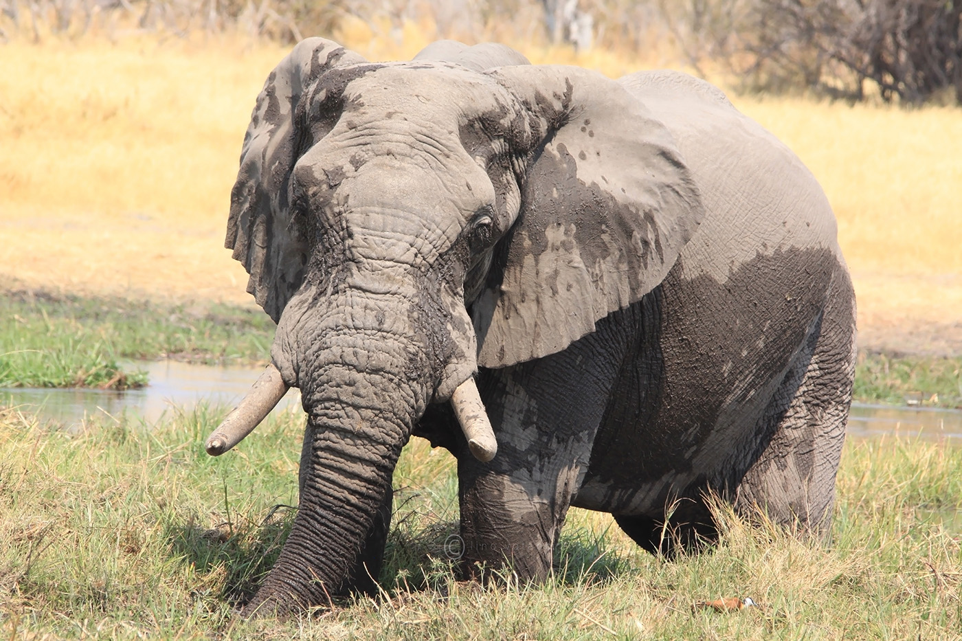 Un occhiata ...da vicino