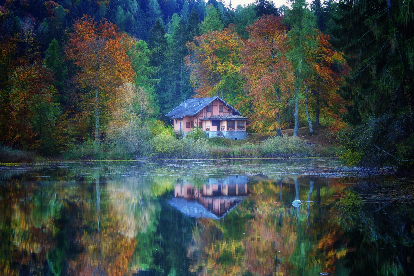 Reflections of Fable