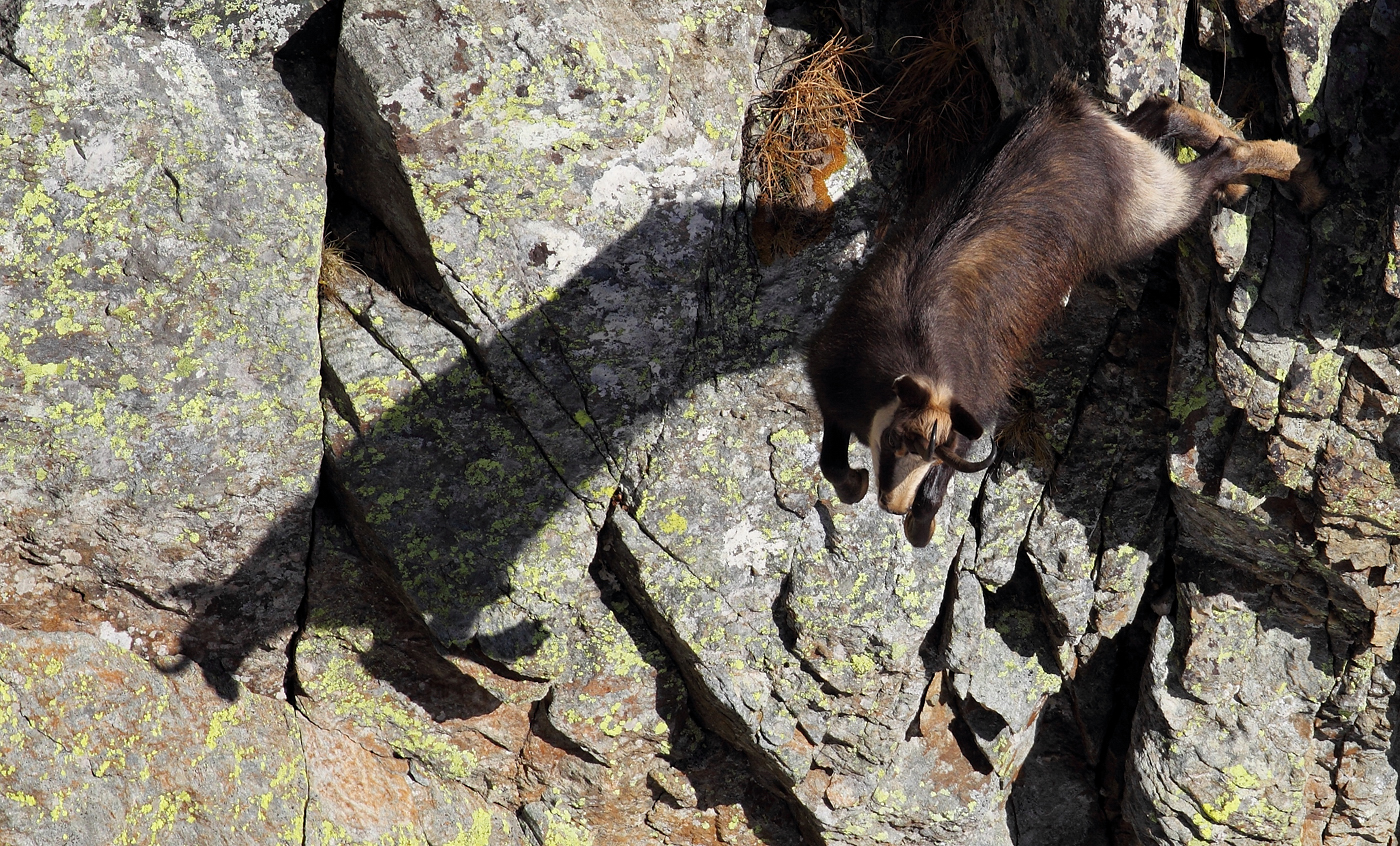 L'ombra del diavolo.