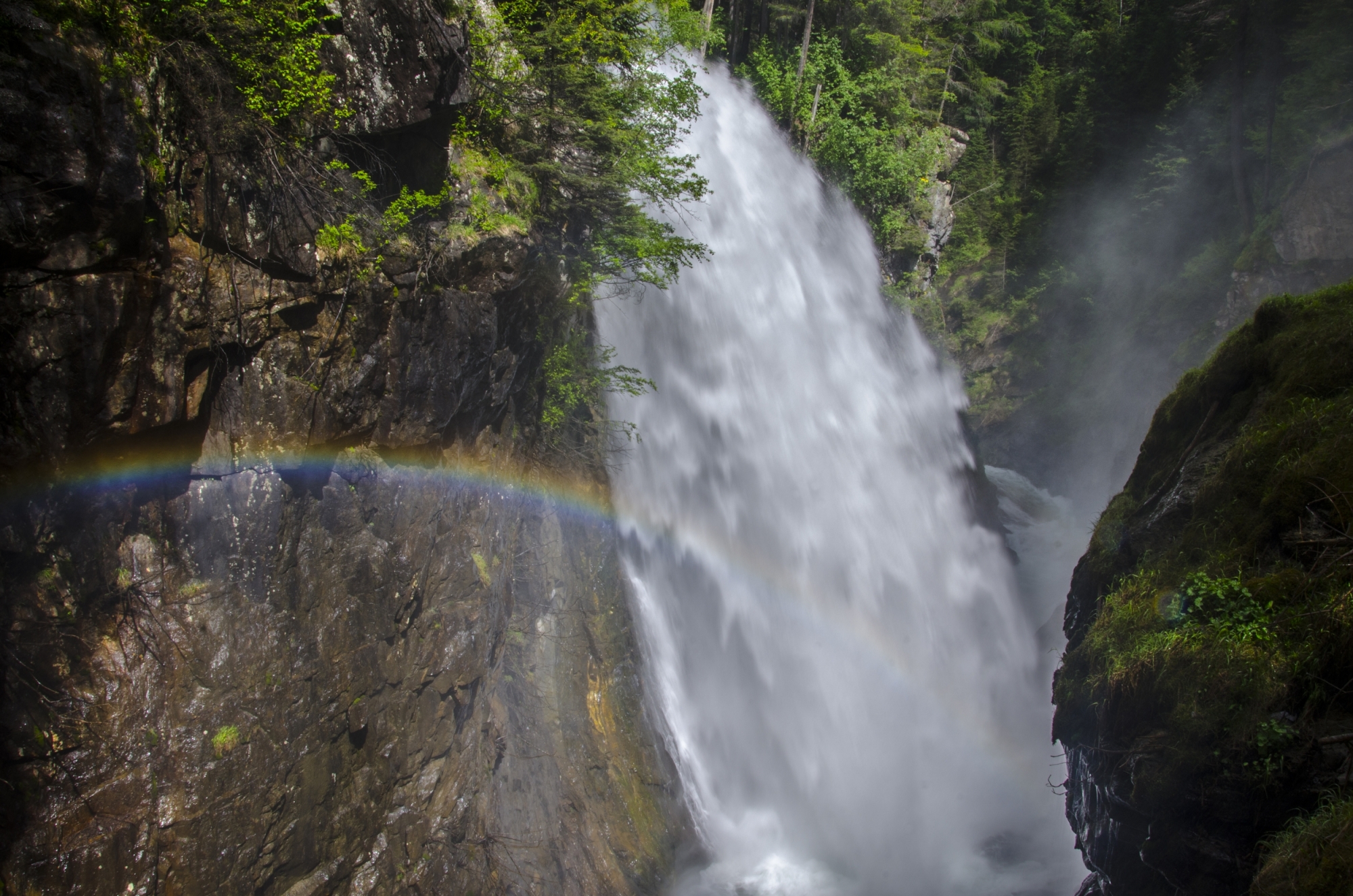 The spectacle of nature