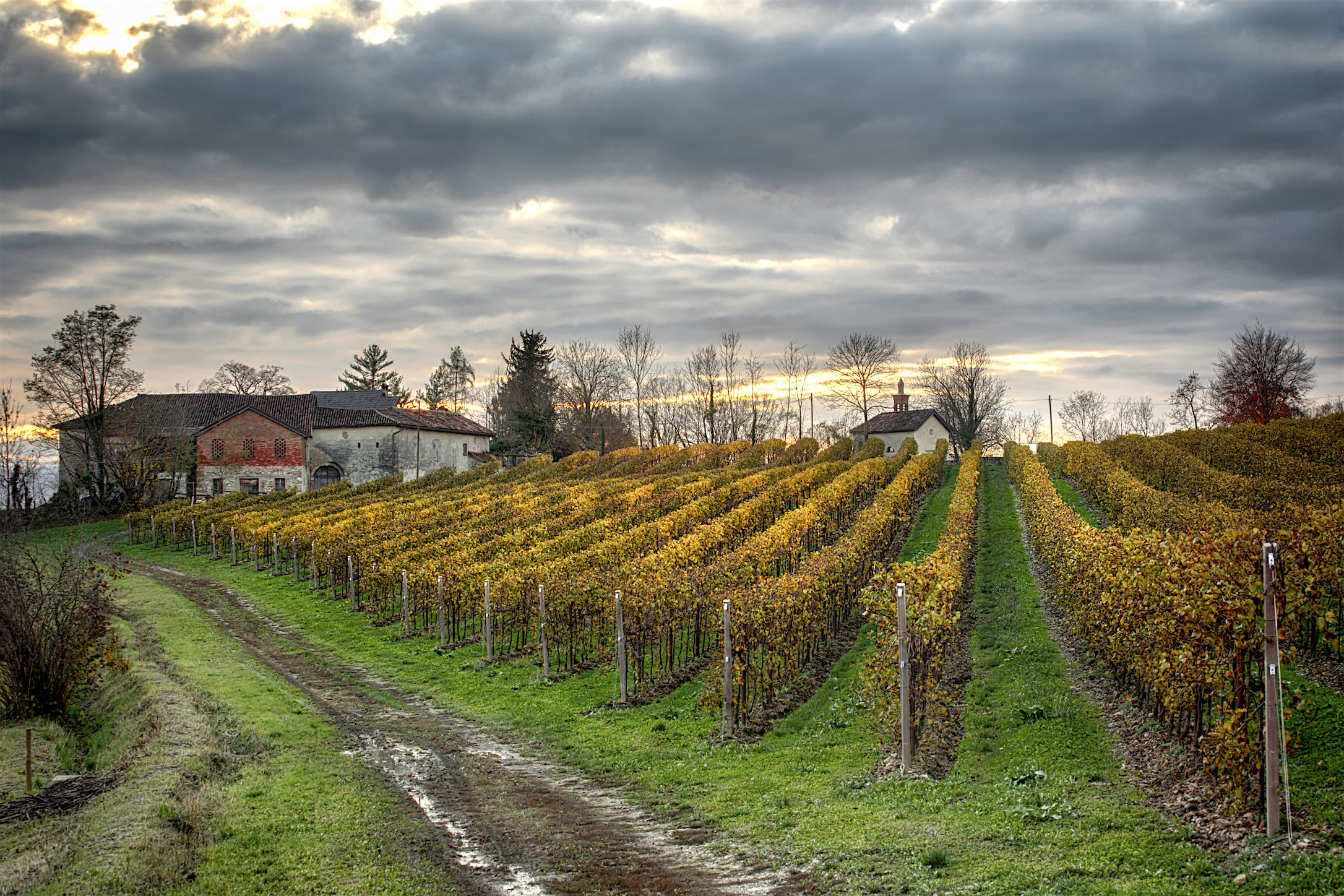 Autumn in the country.