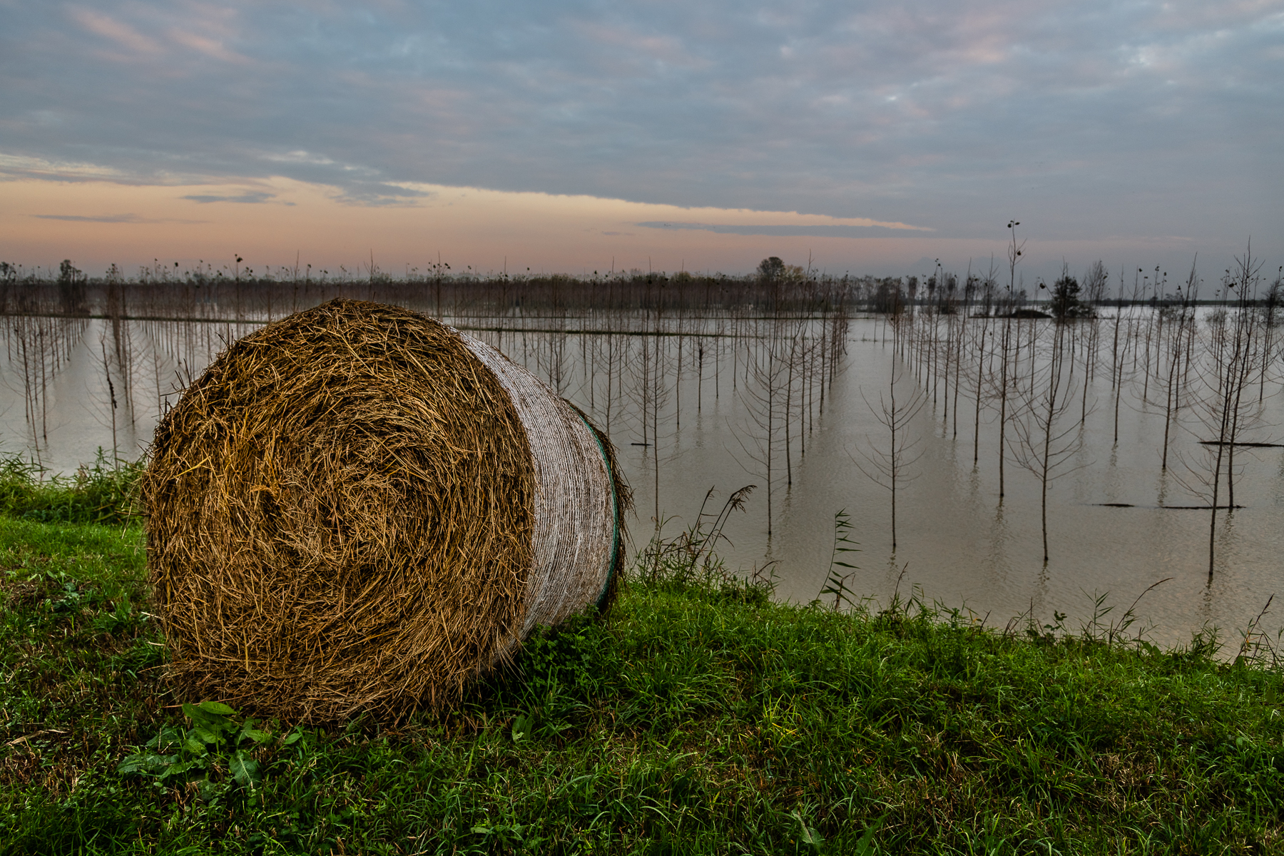 On the far of the evening-November 2018