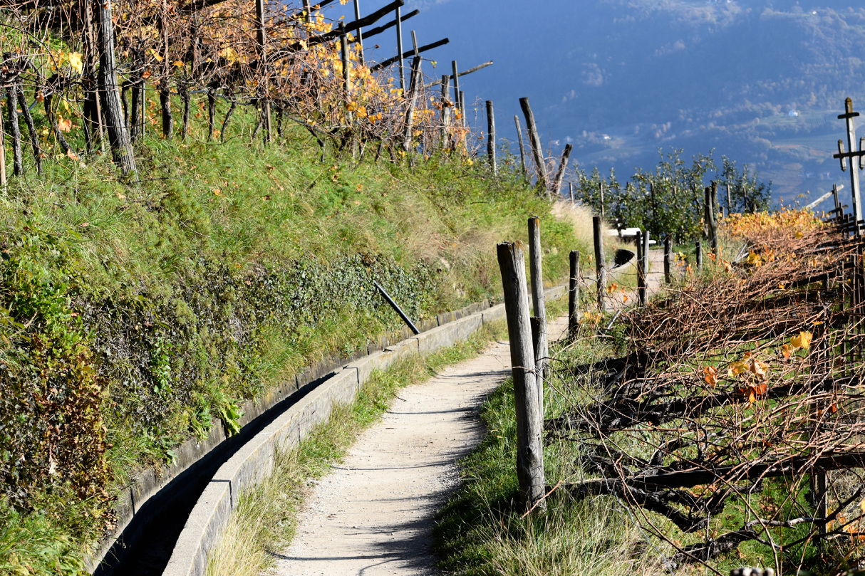 Le Rogge, the so-called "Waalwege"