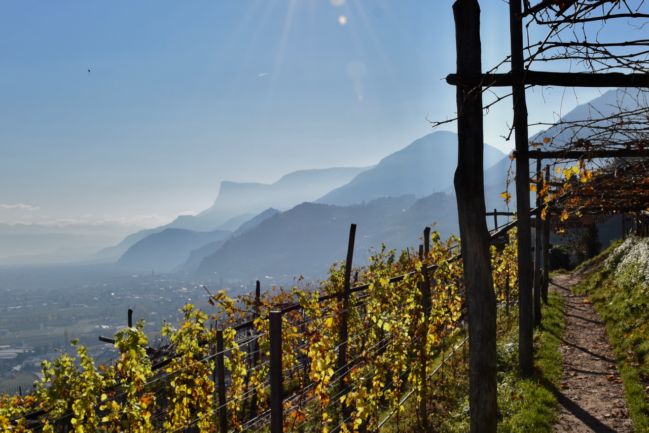 Le Rogge, the so-called "Waalwege"