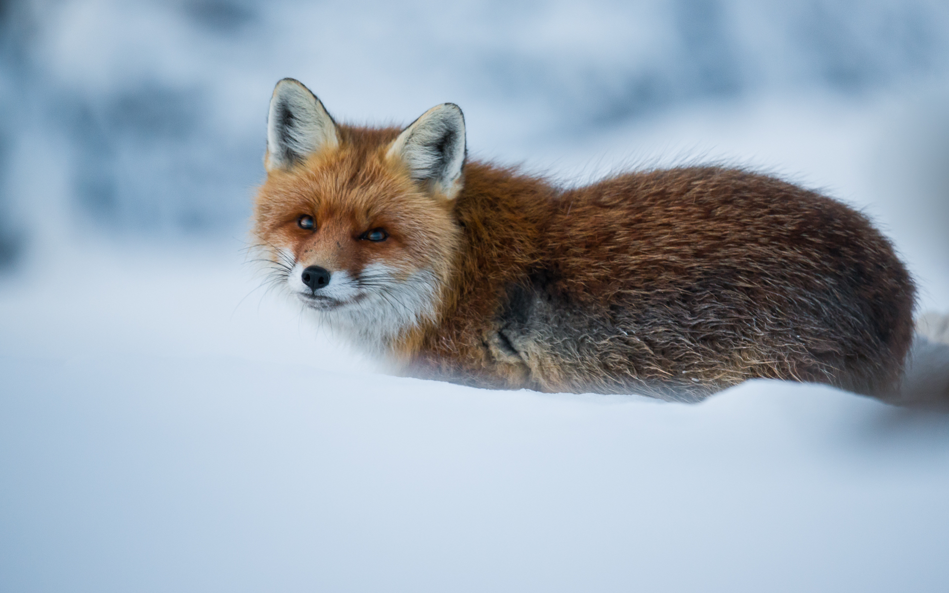 Meeting always Welcome