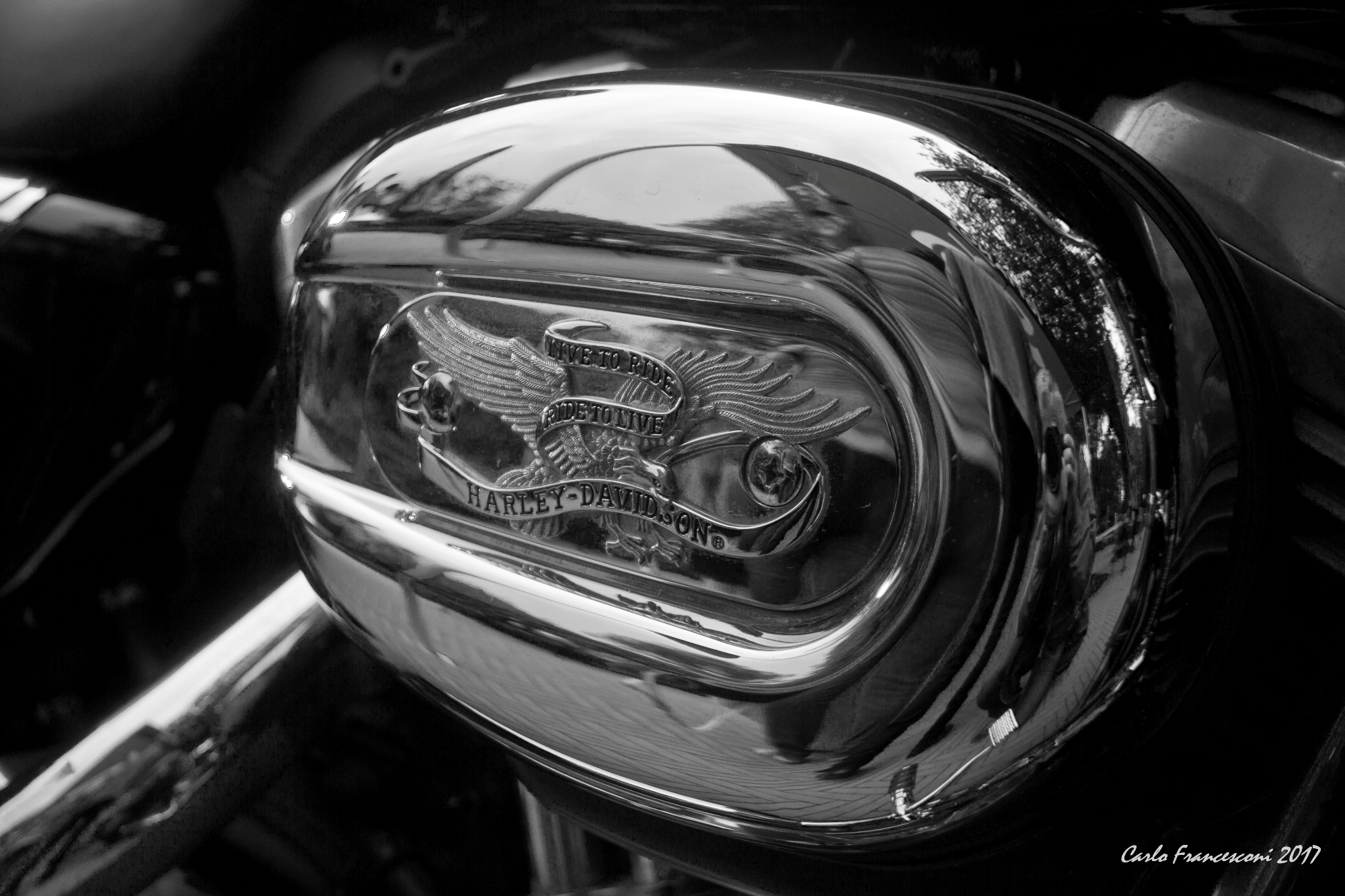 harley Davidson