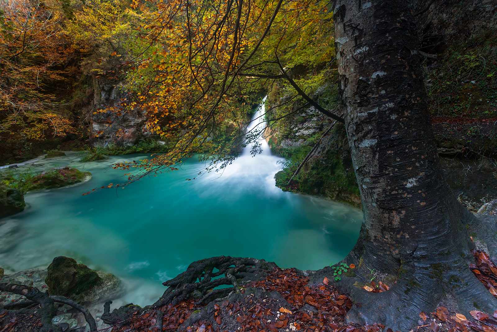 Nacedero del Urederra