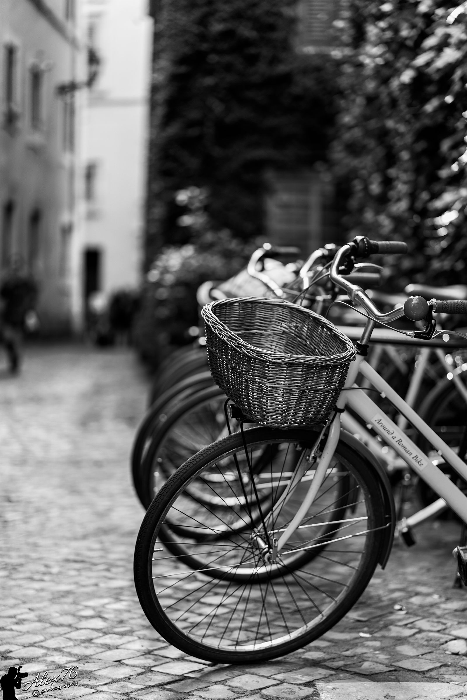 In sella!!! alla bersagliera...