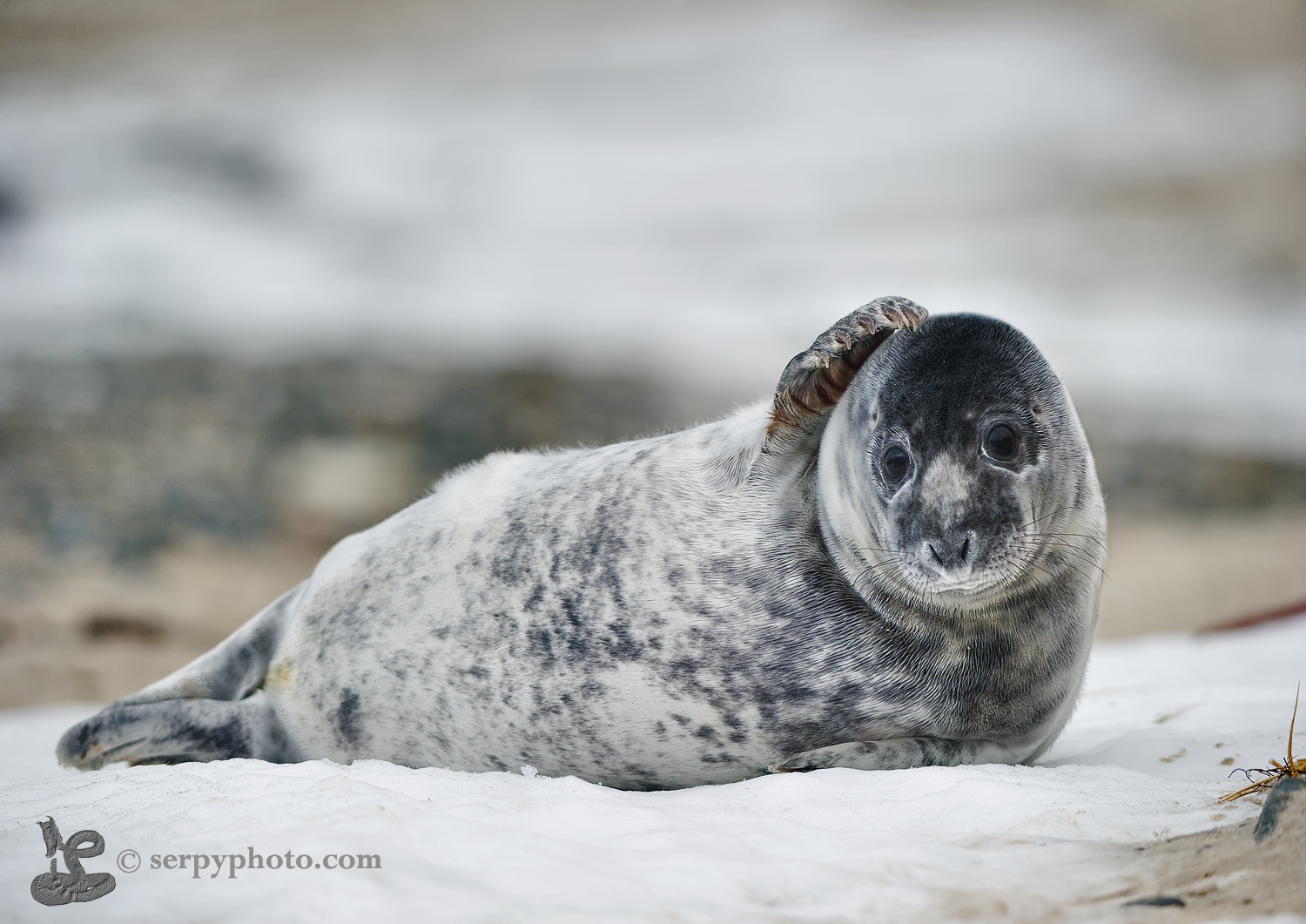 Perplessa e incuriosita