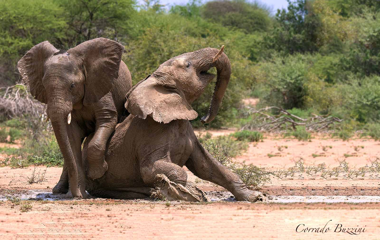 Mud Bath