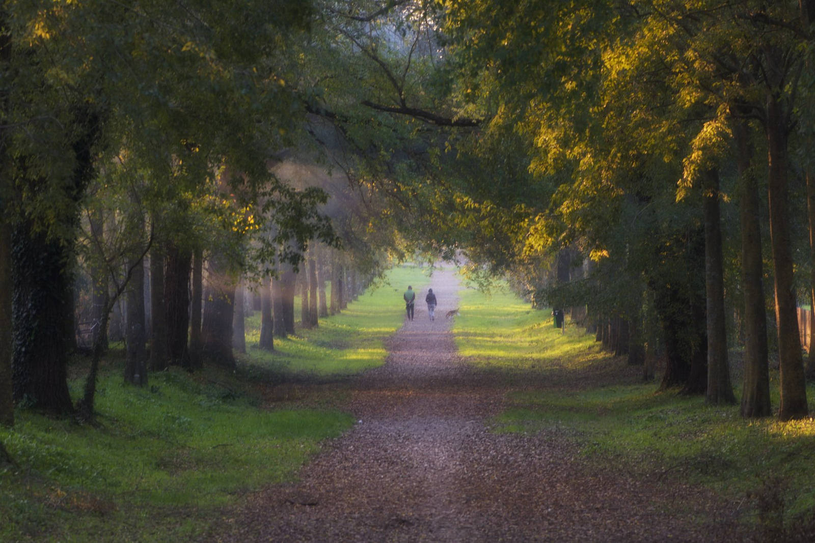 Impressioni d'Autunno