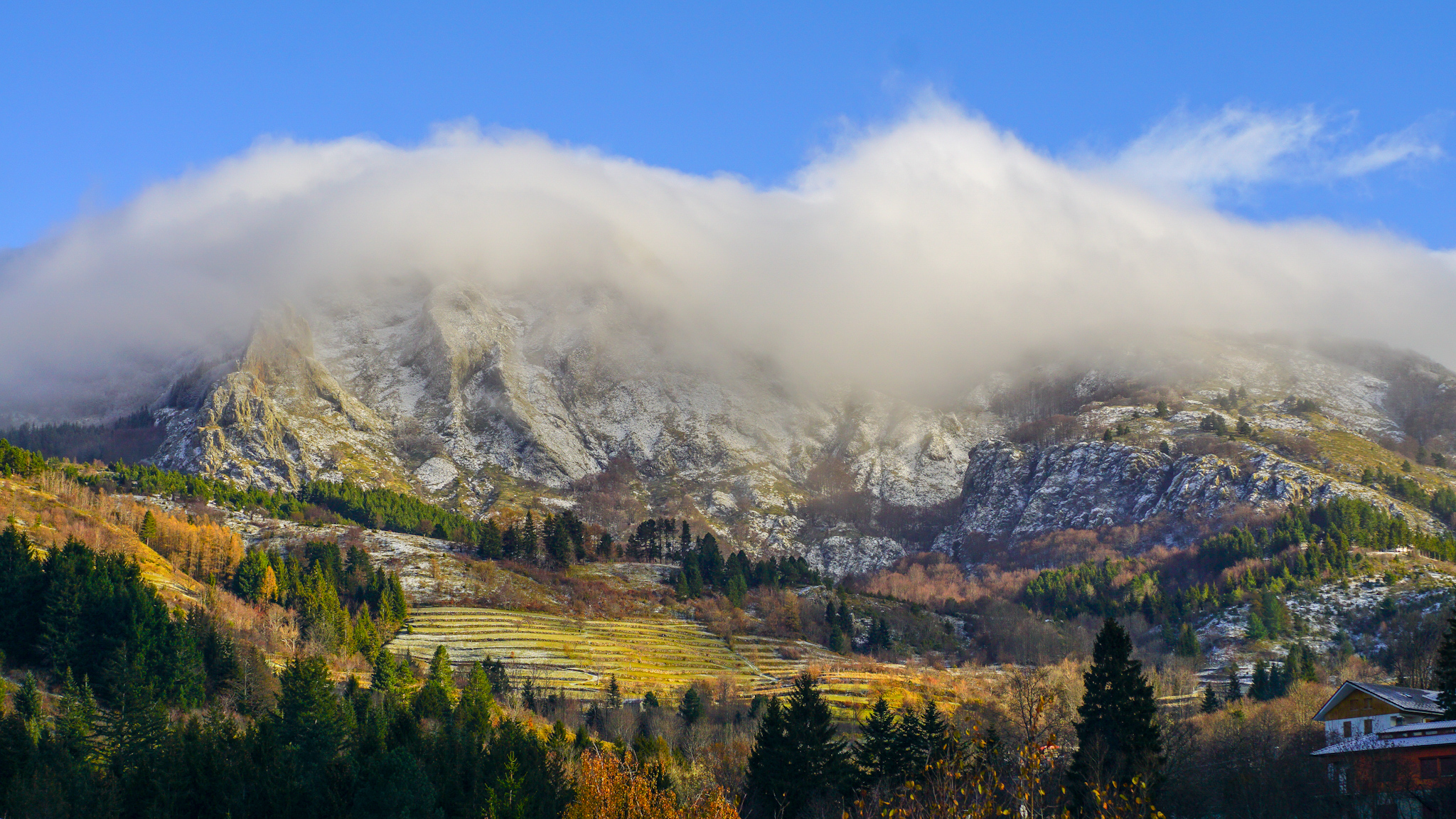 Maggiorasca e nebbia