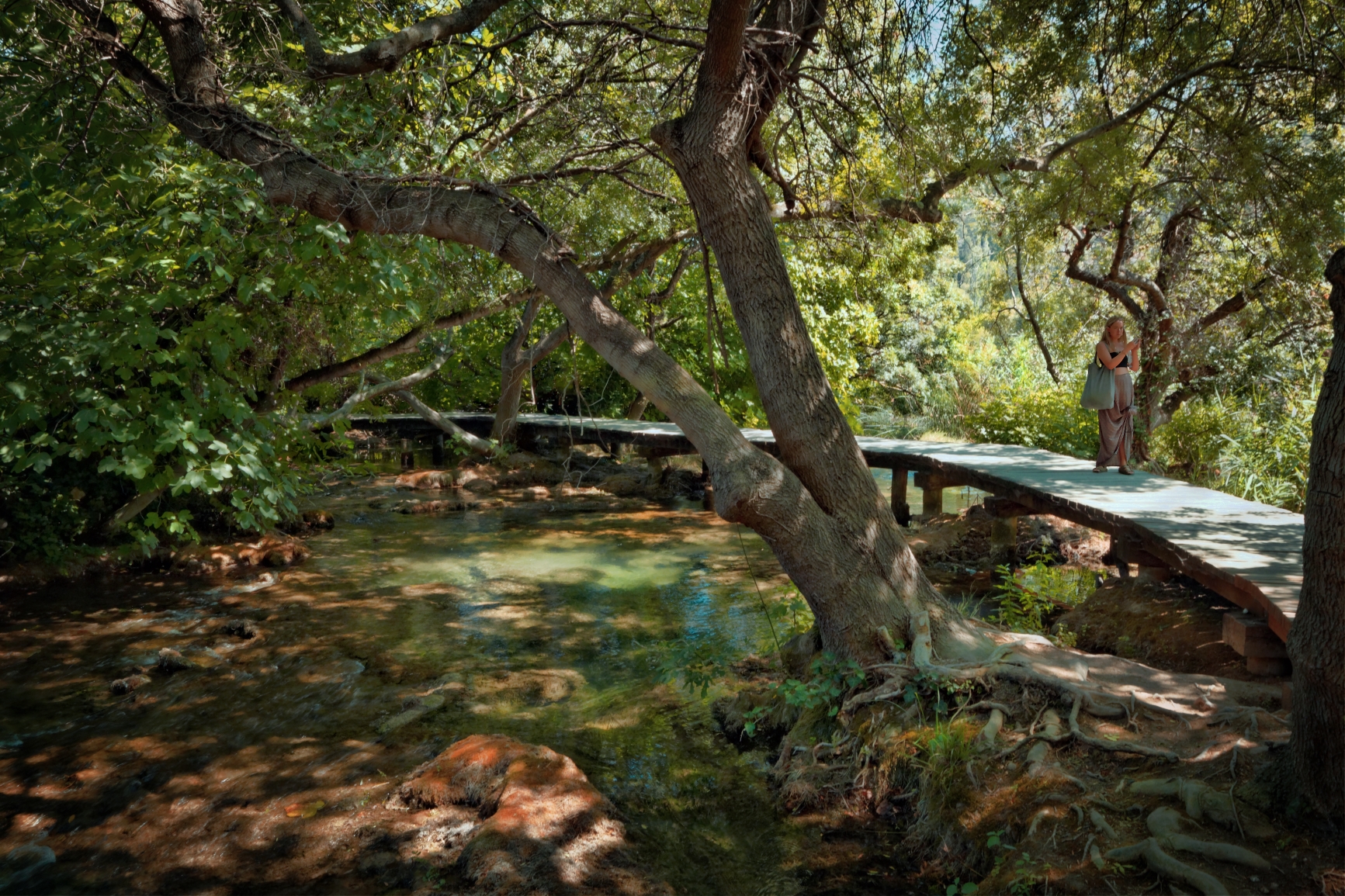 Tra la vegetazione - Krka