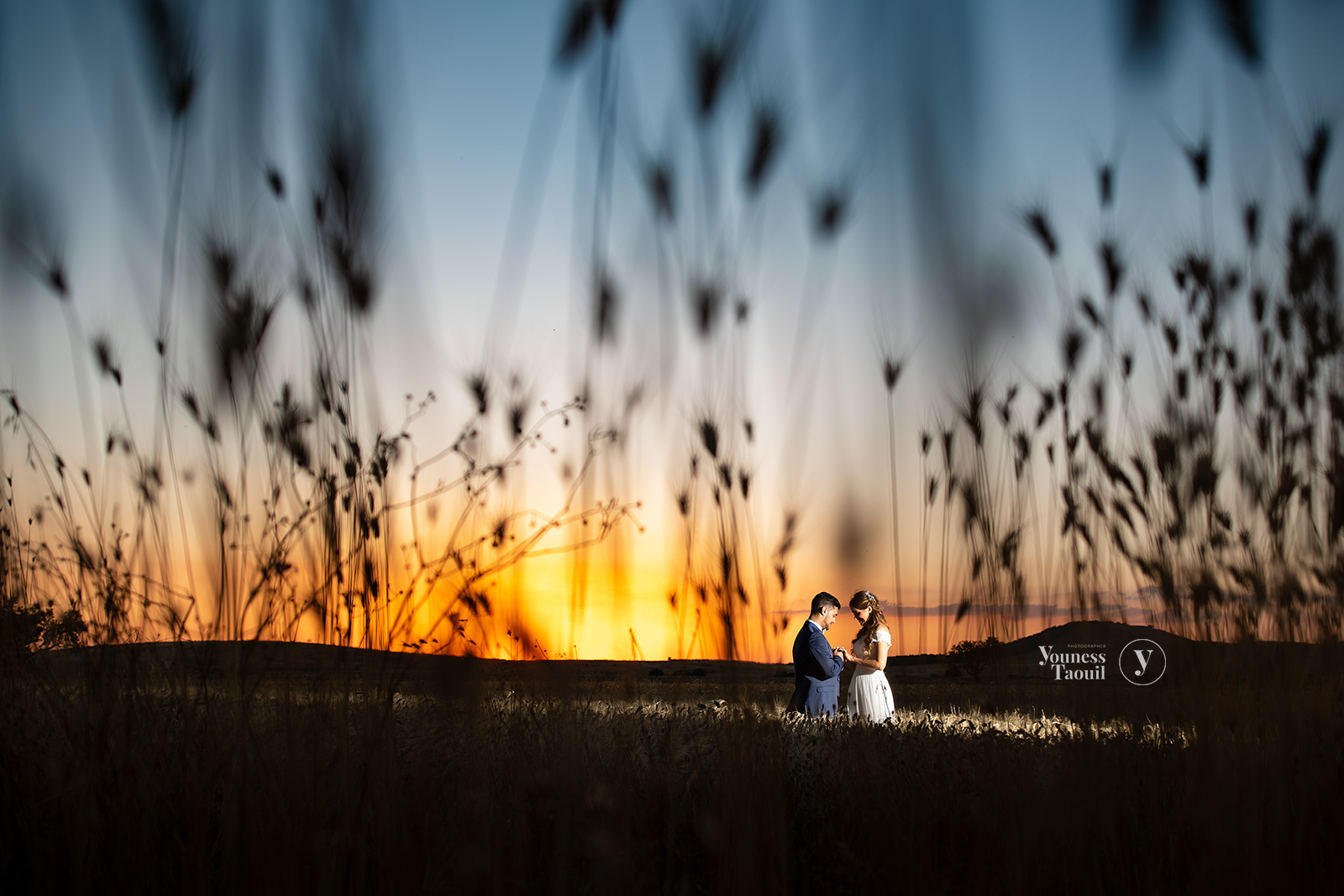In the field of wheat