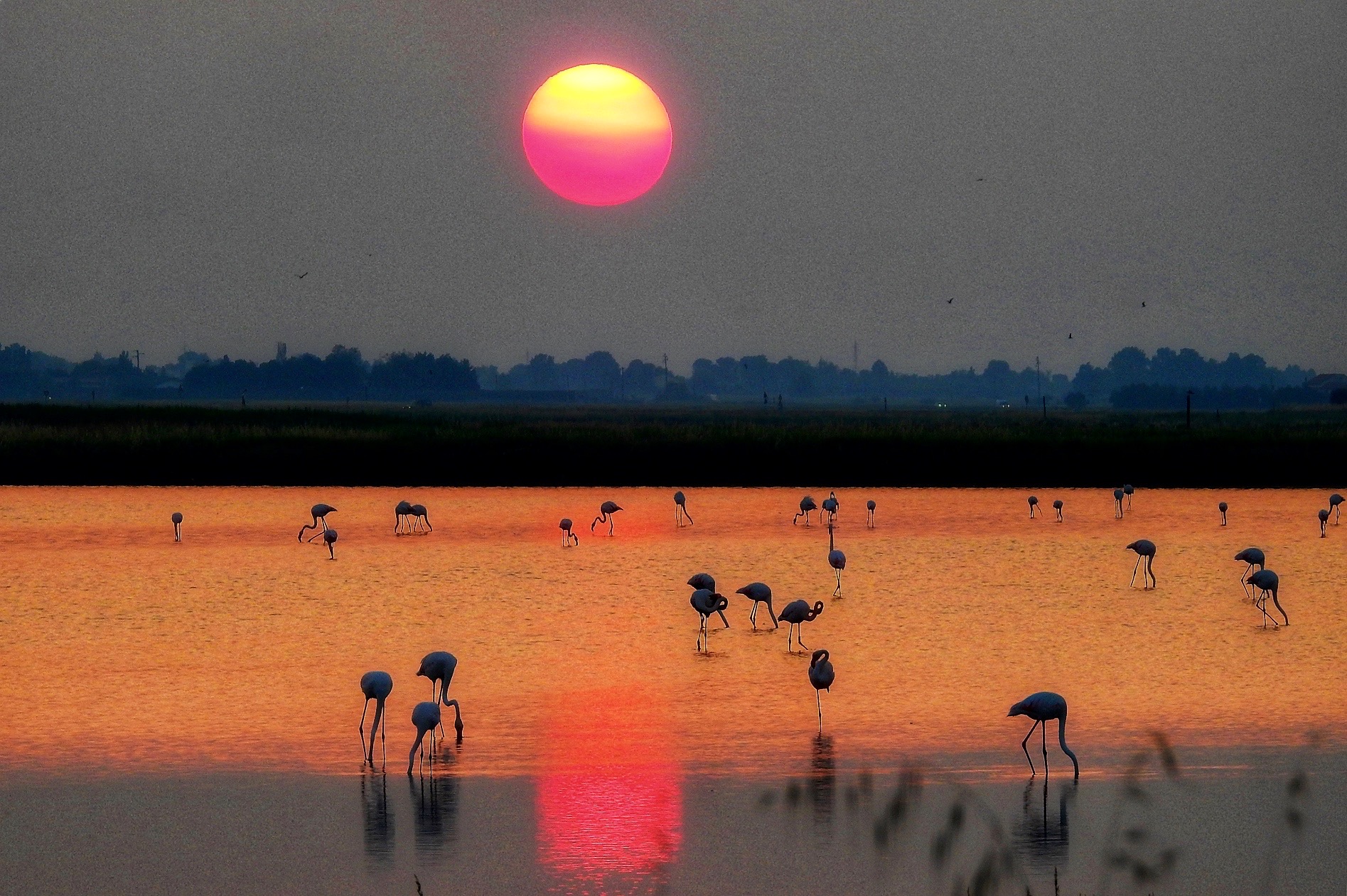 Sunset over the salt marshes of Cervia
