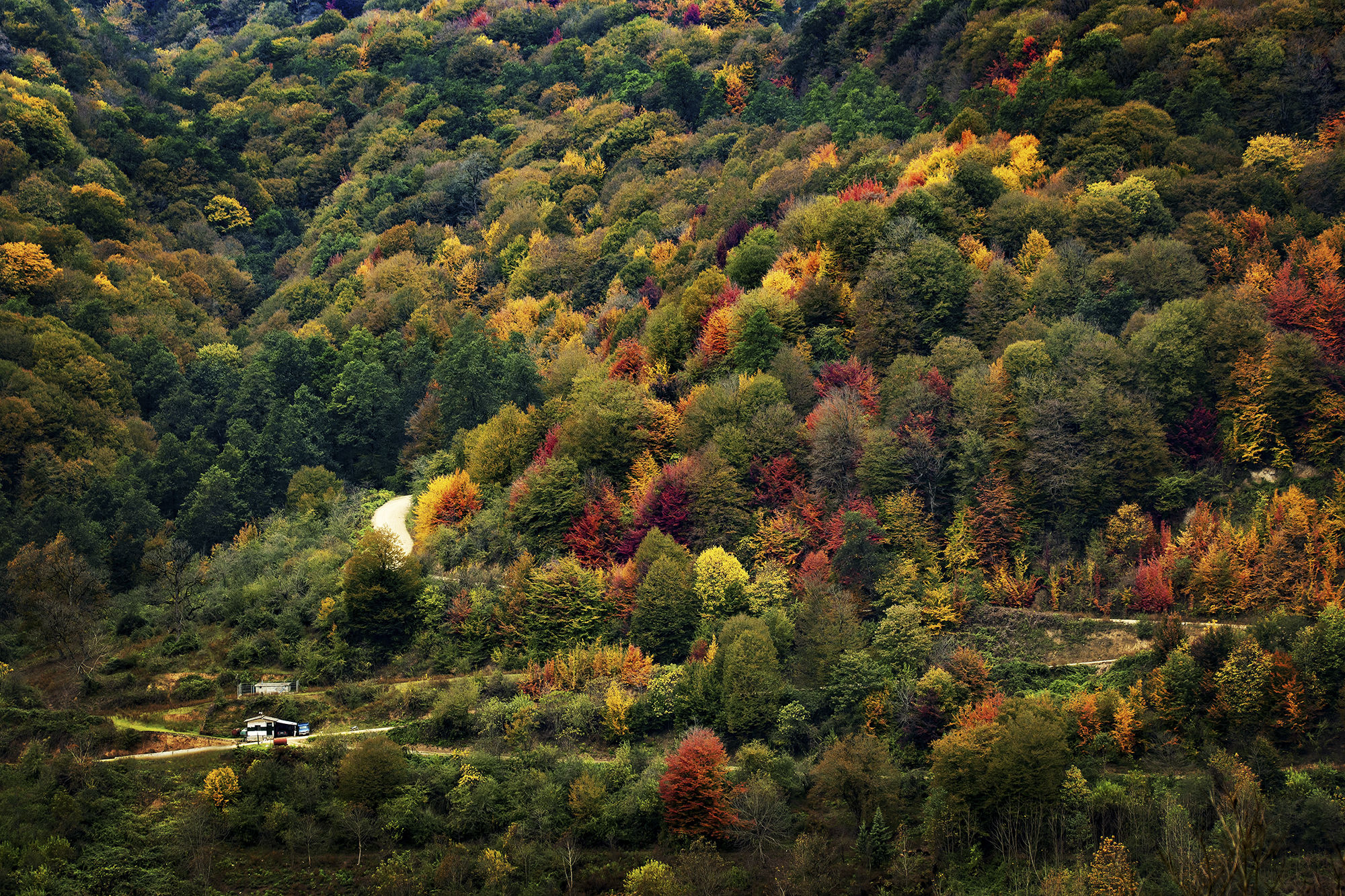 infinite color palette