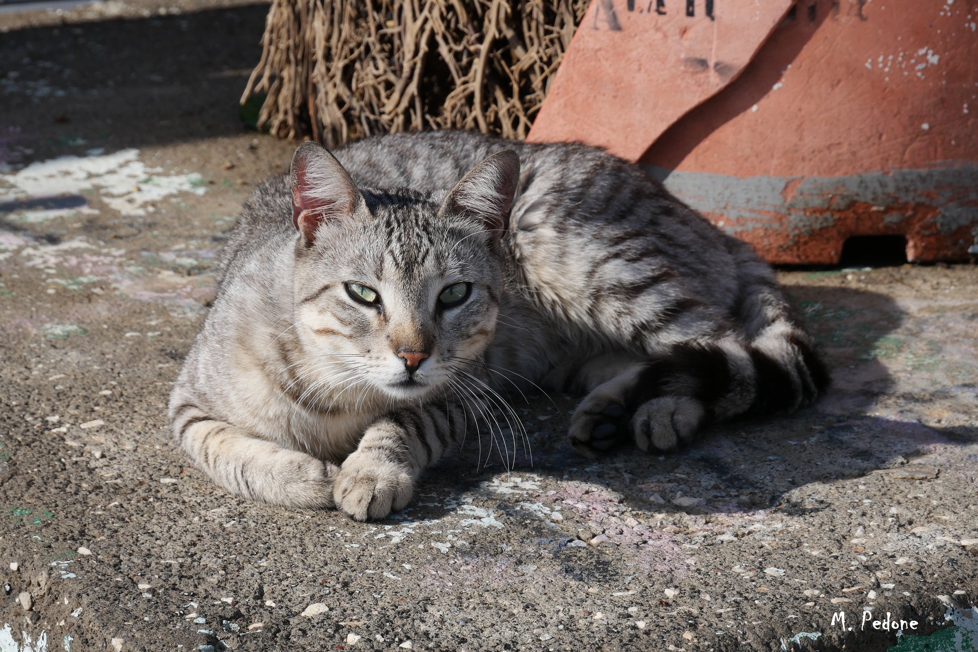 The sun from bothering him too