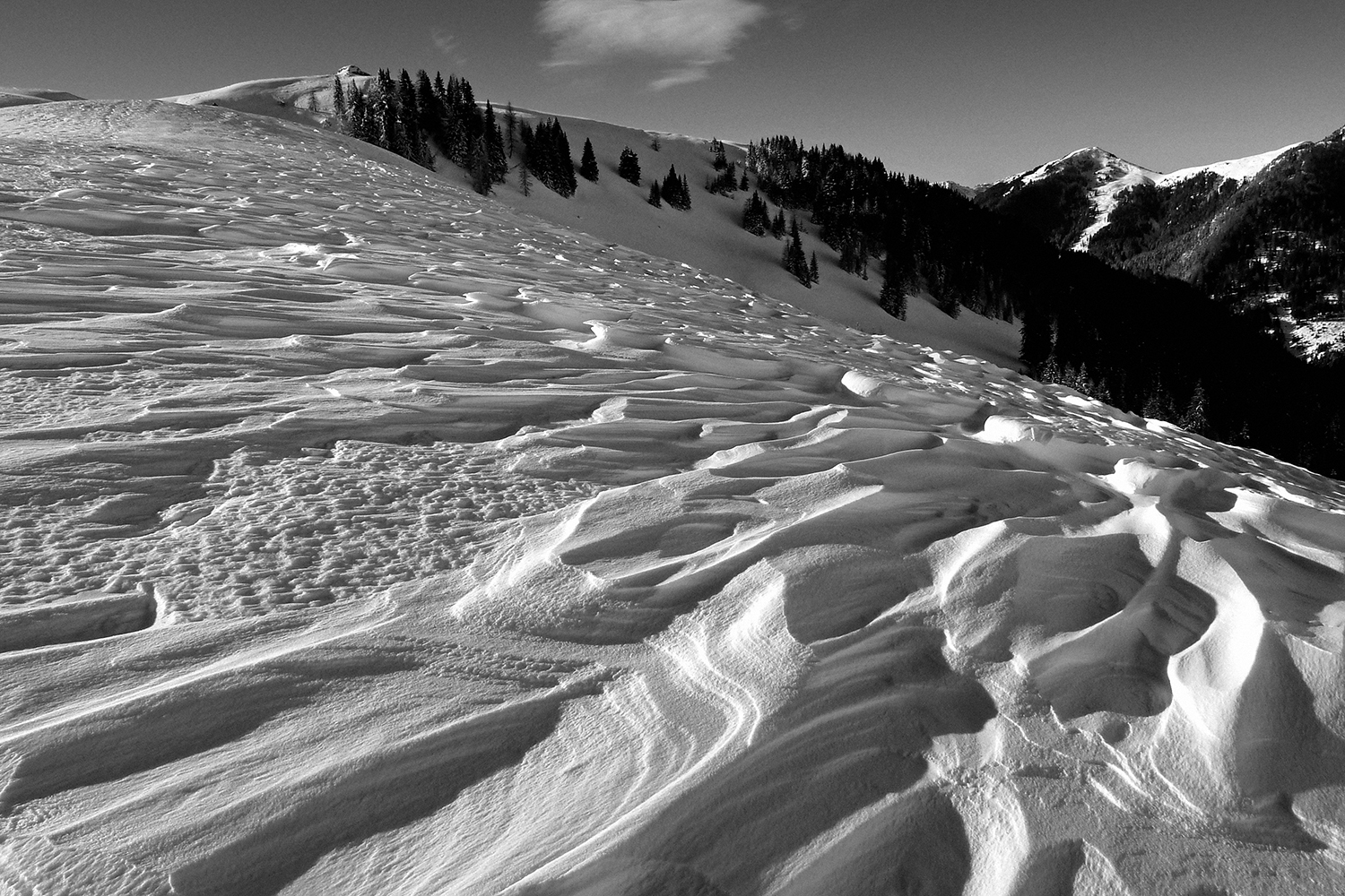 Frozen # 2-Carnic Alps