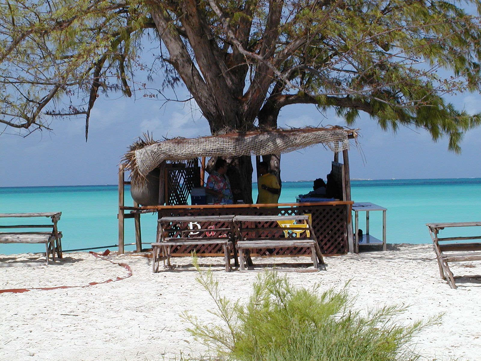 Immersi nella natura