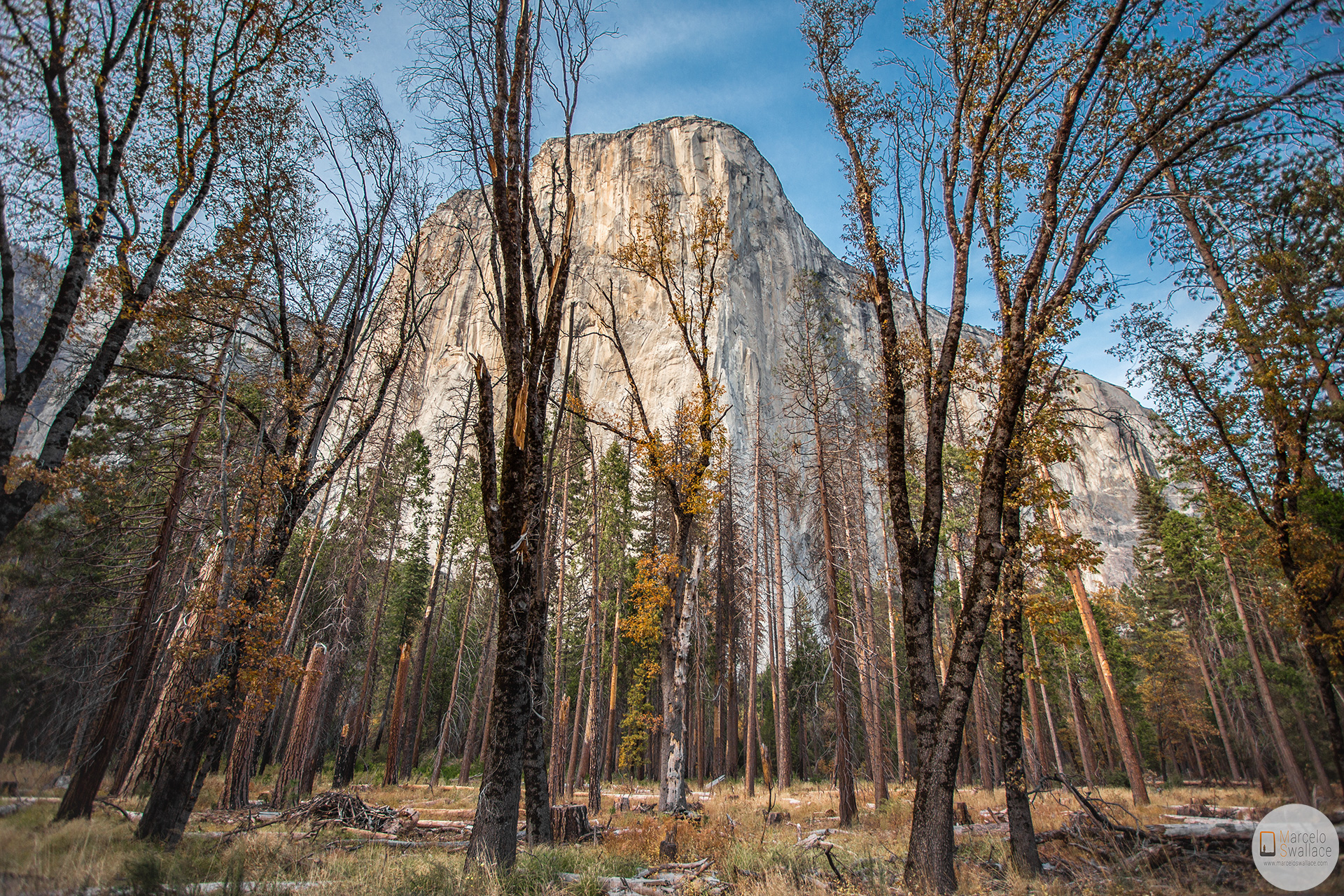 El Capitan-Yosemite-California