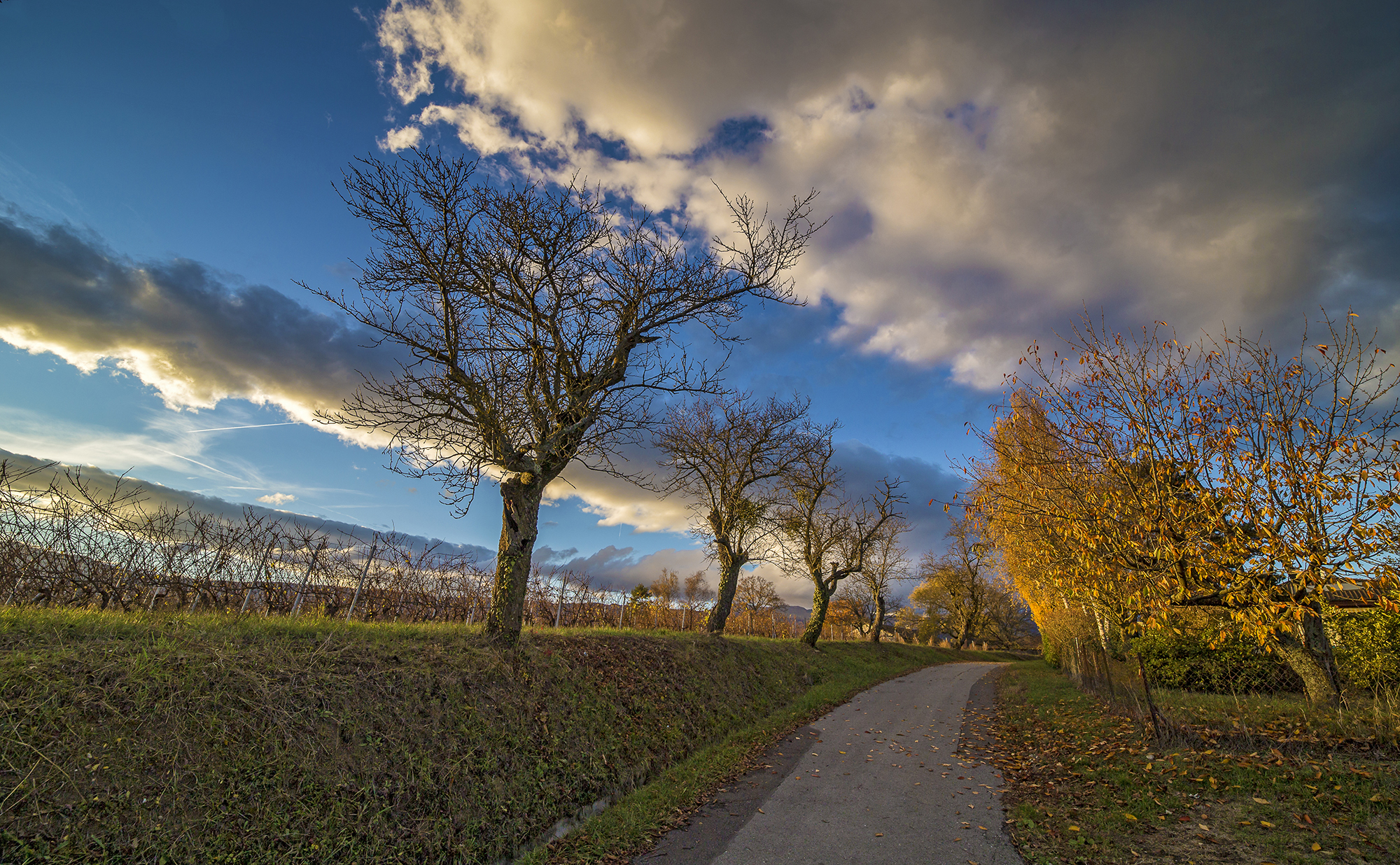 the end of the road and the autumn