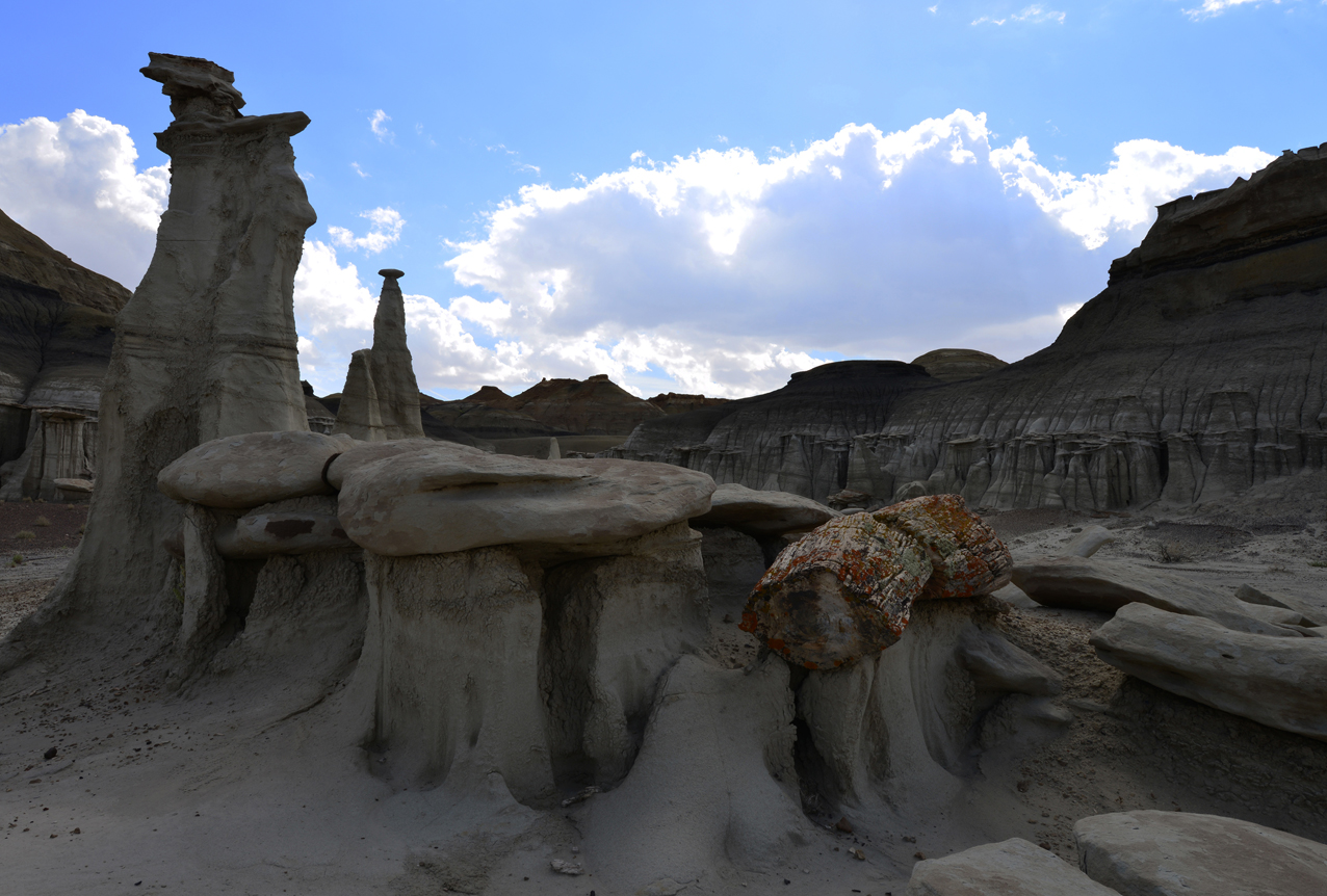 "hoodoo e tronco fossile"