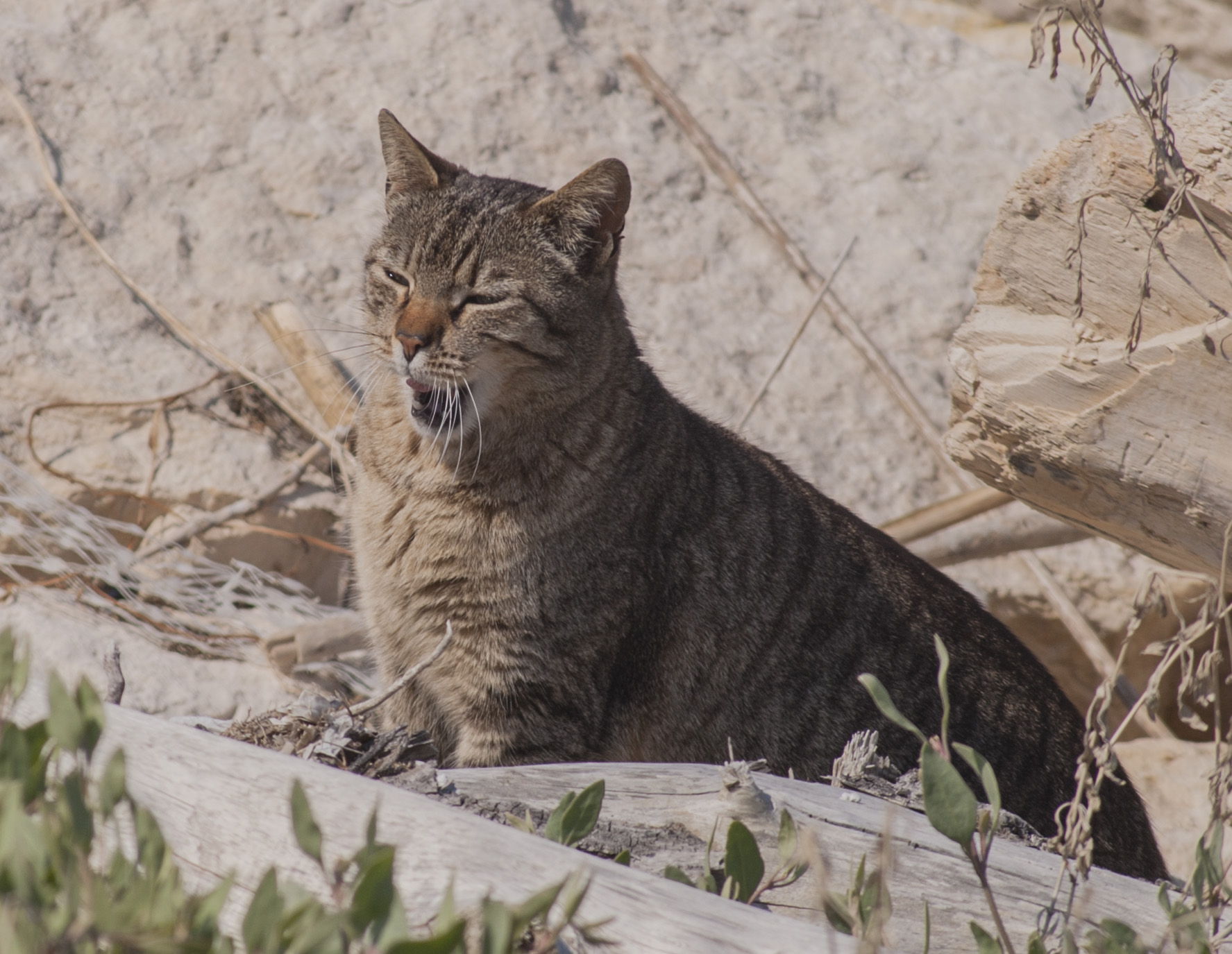 che fatica il dolce far niente . .