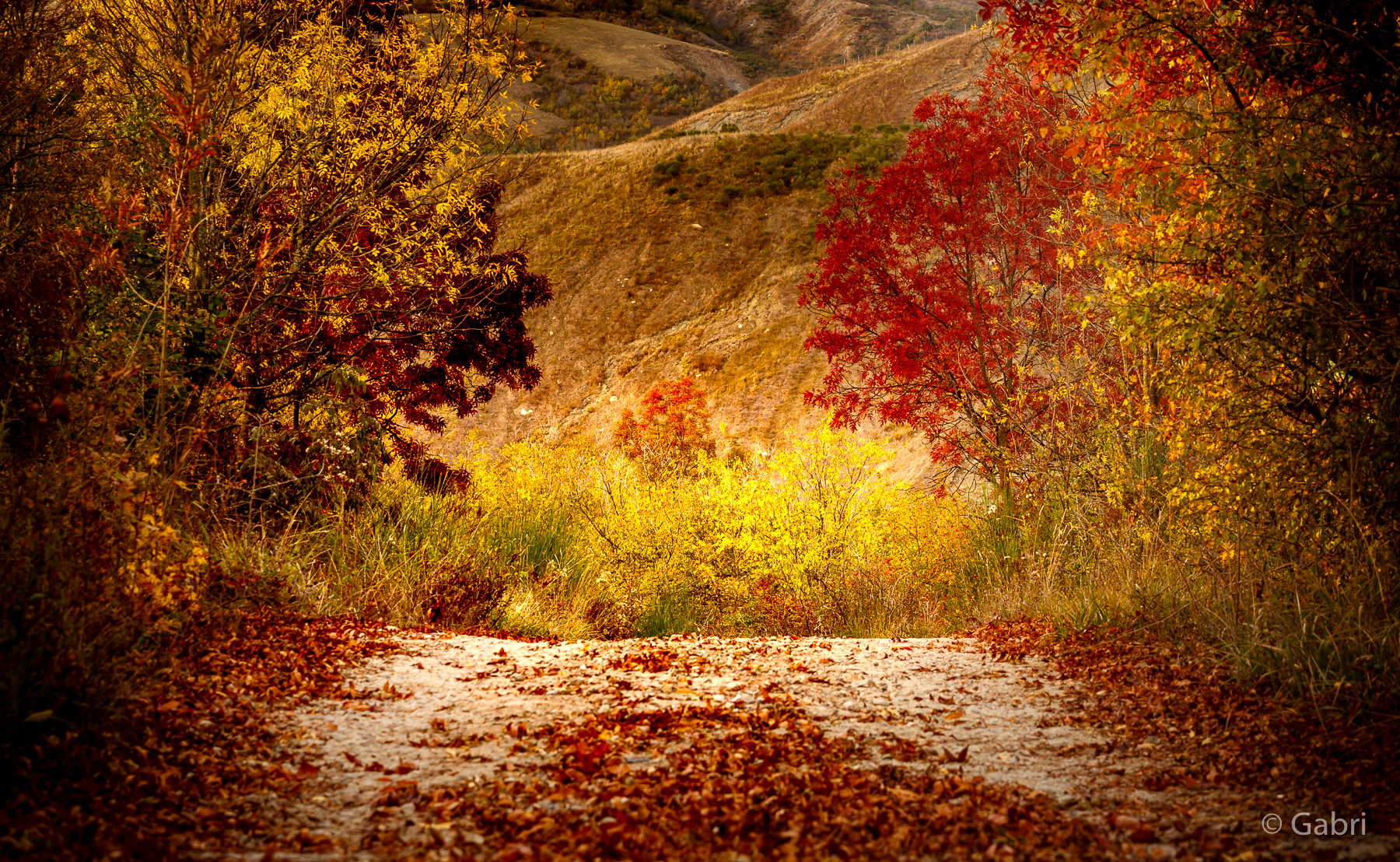 Autunno in Val Quaderna