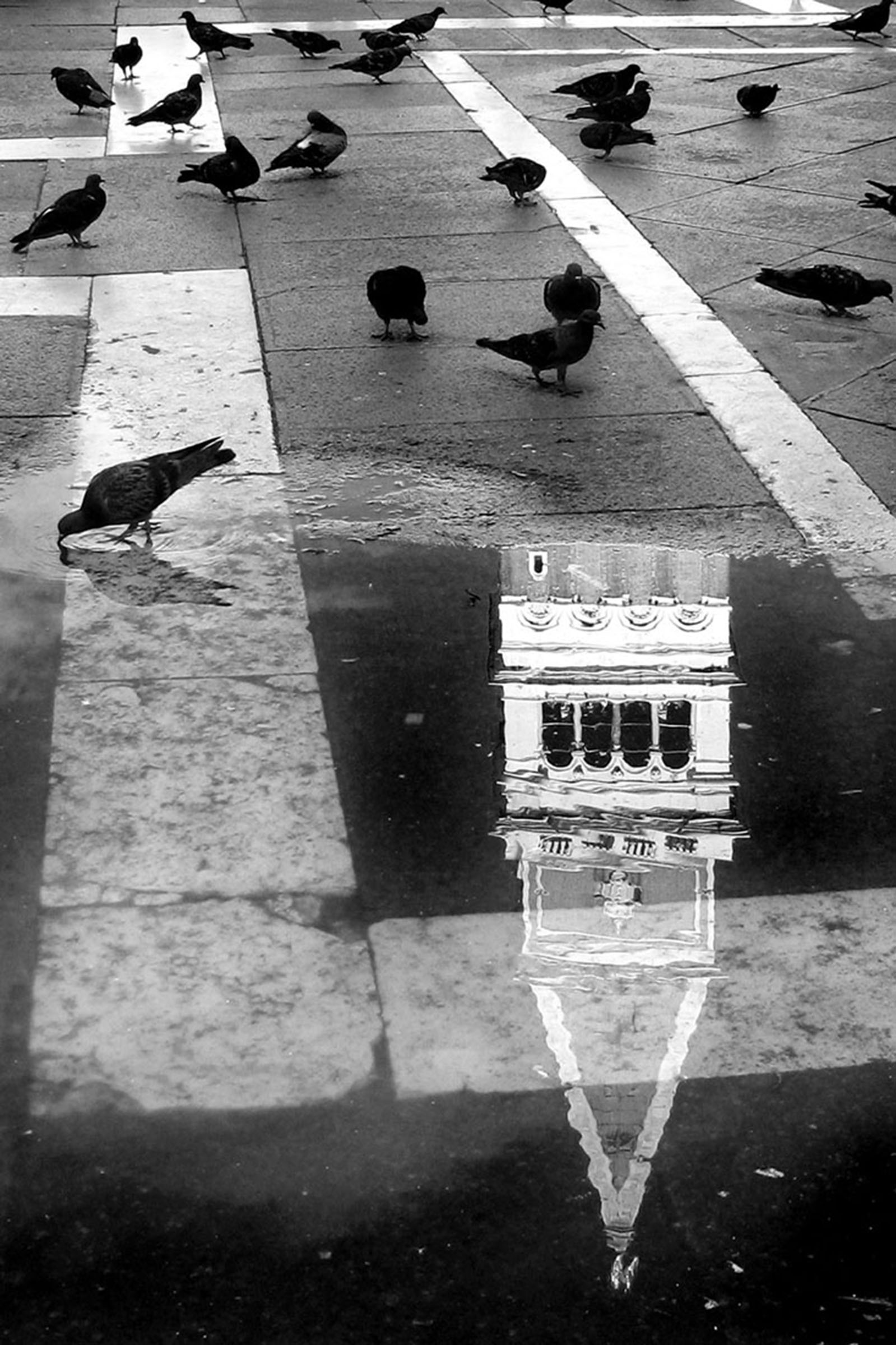 Reflections in Venice