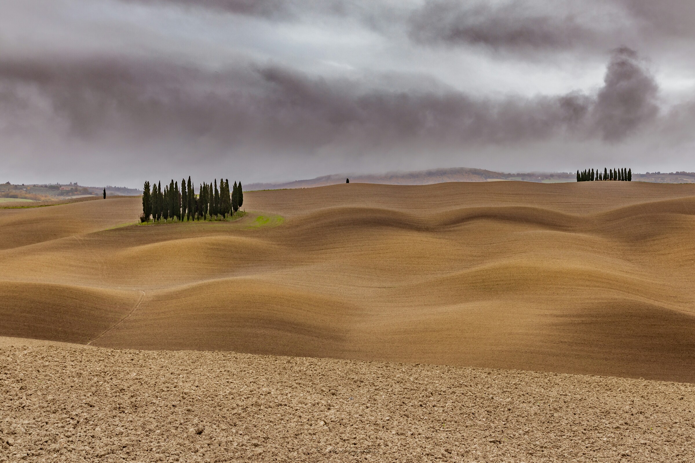 Cipressi Val D'Orcia