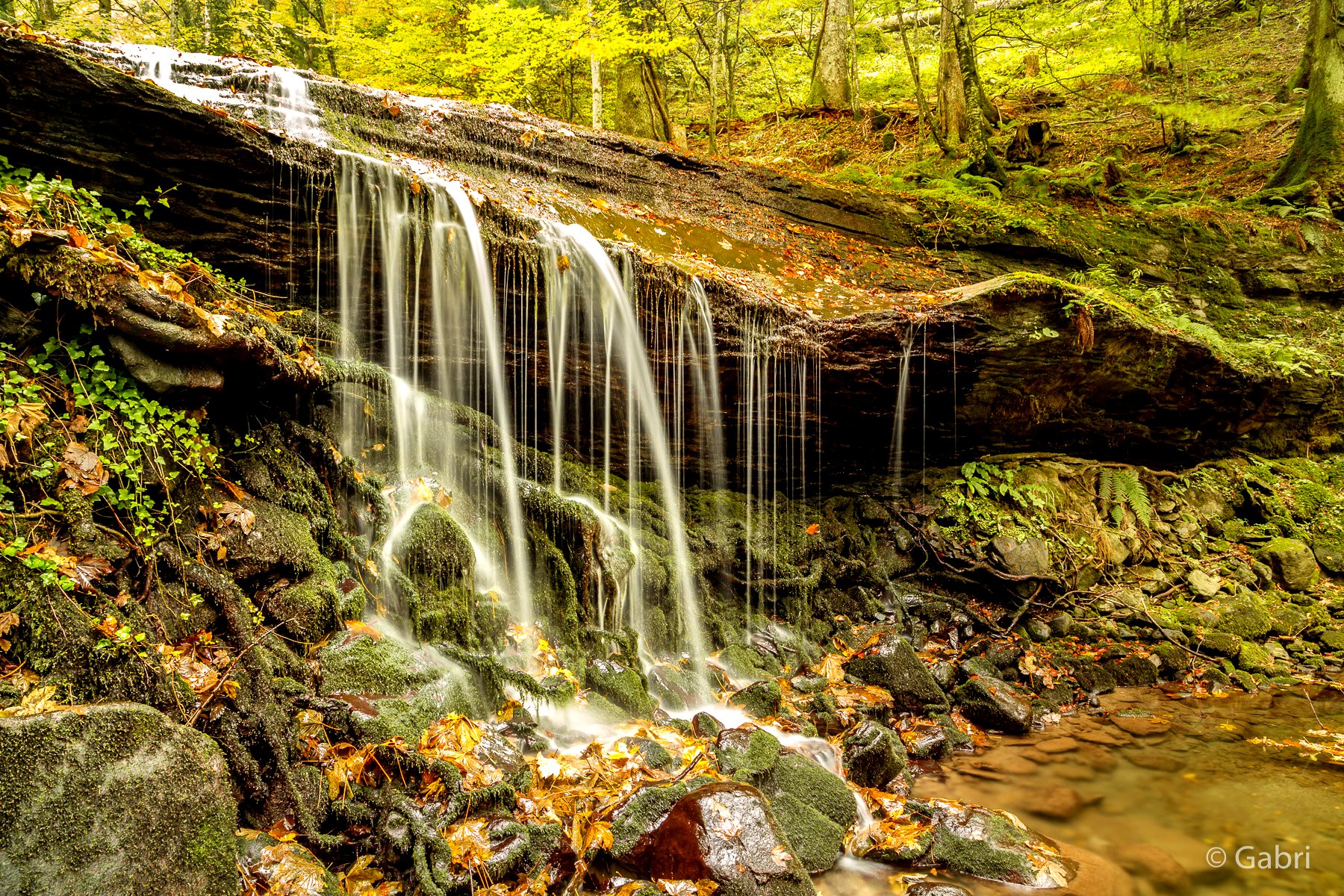 Badia Prataglia in autunno