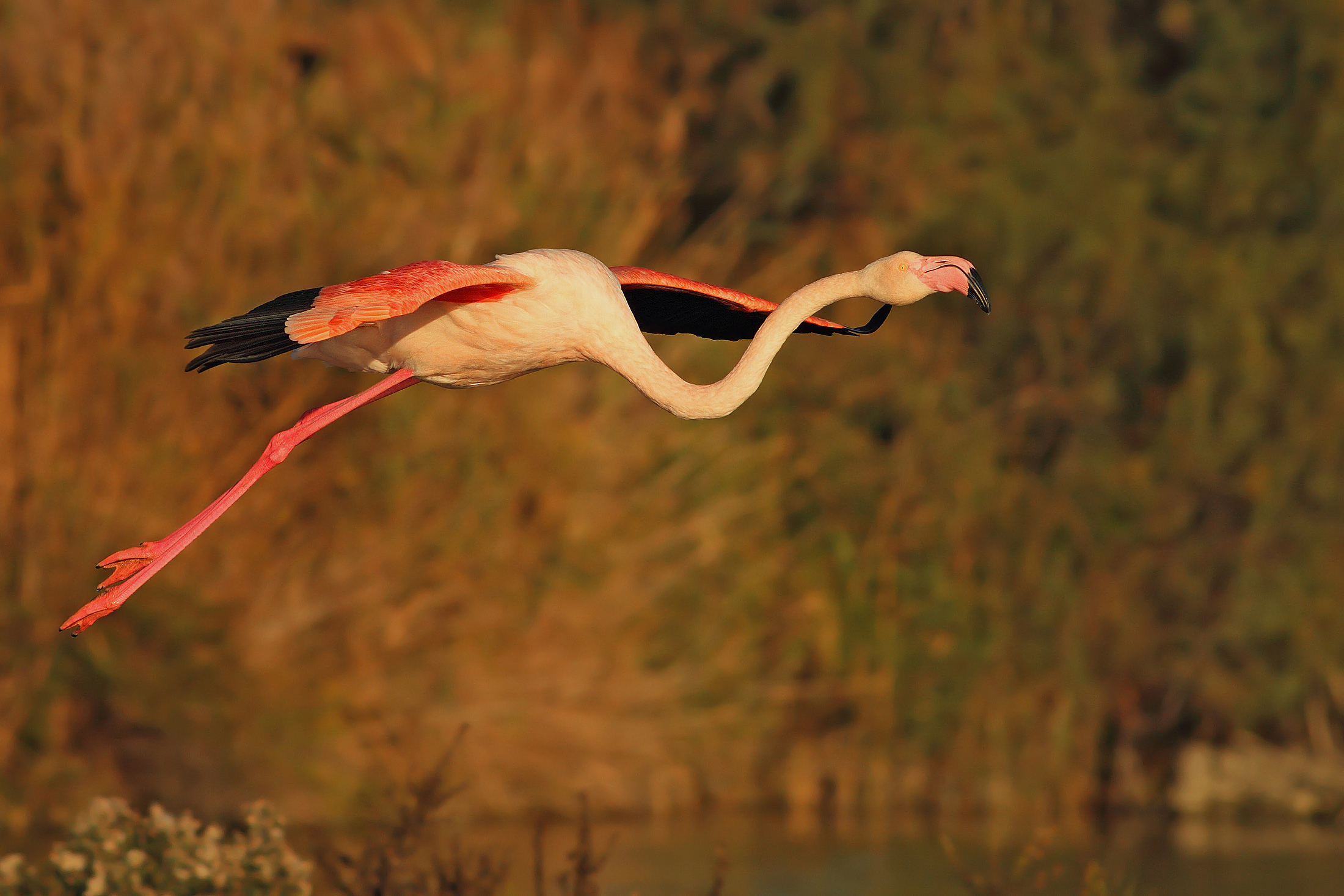 Towards the landing ........