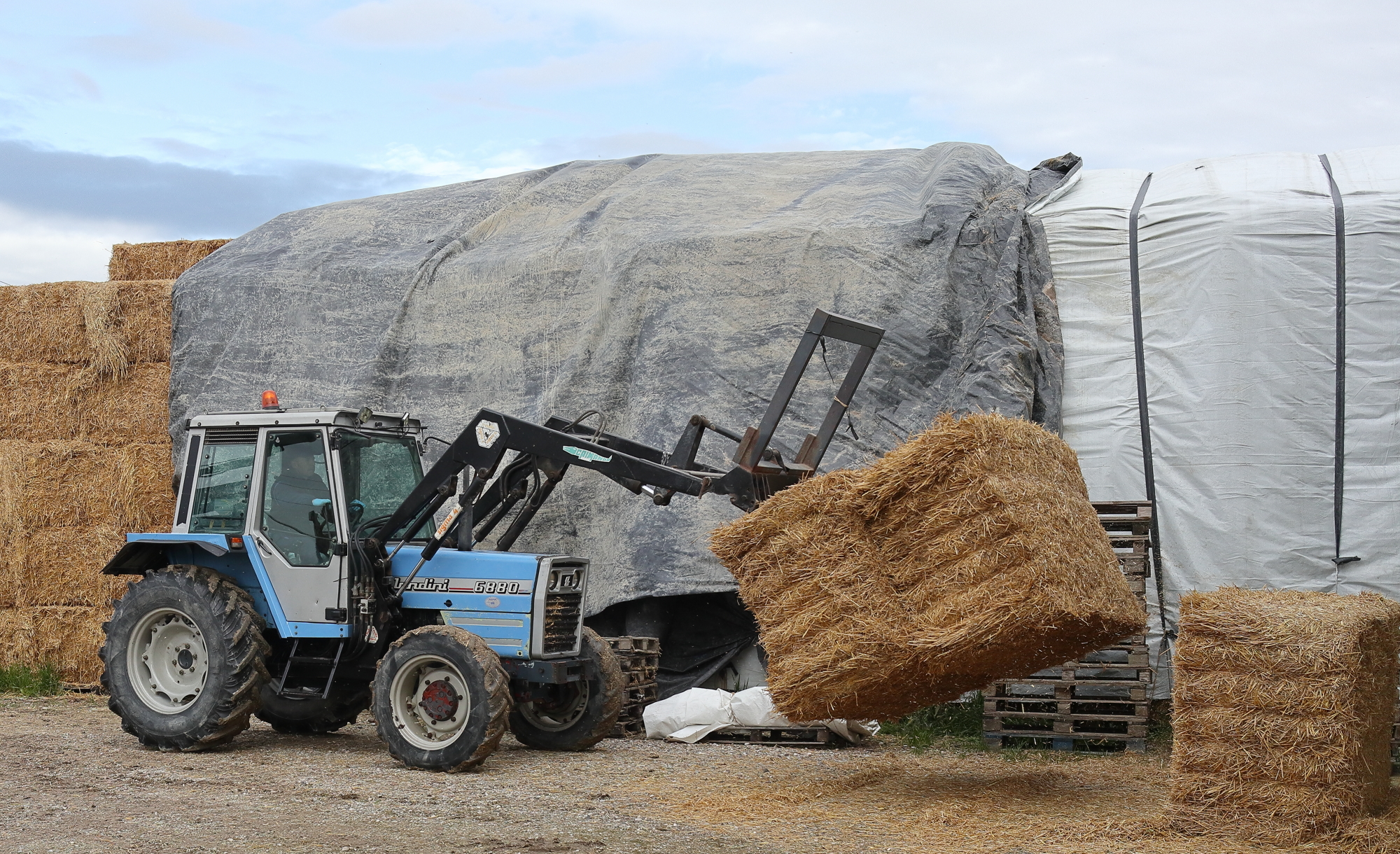 In the country the work never ends.