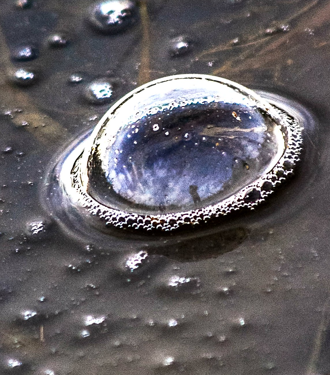 Io e il cielo in una bolla