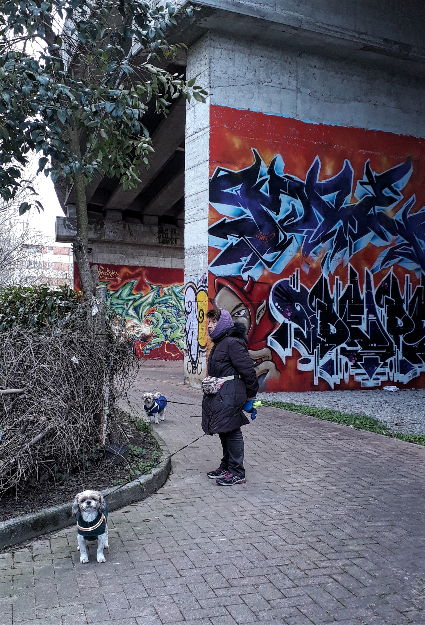 Bologna è una regola