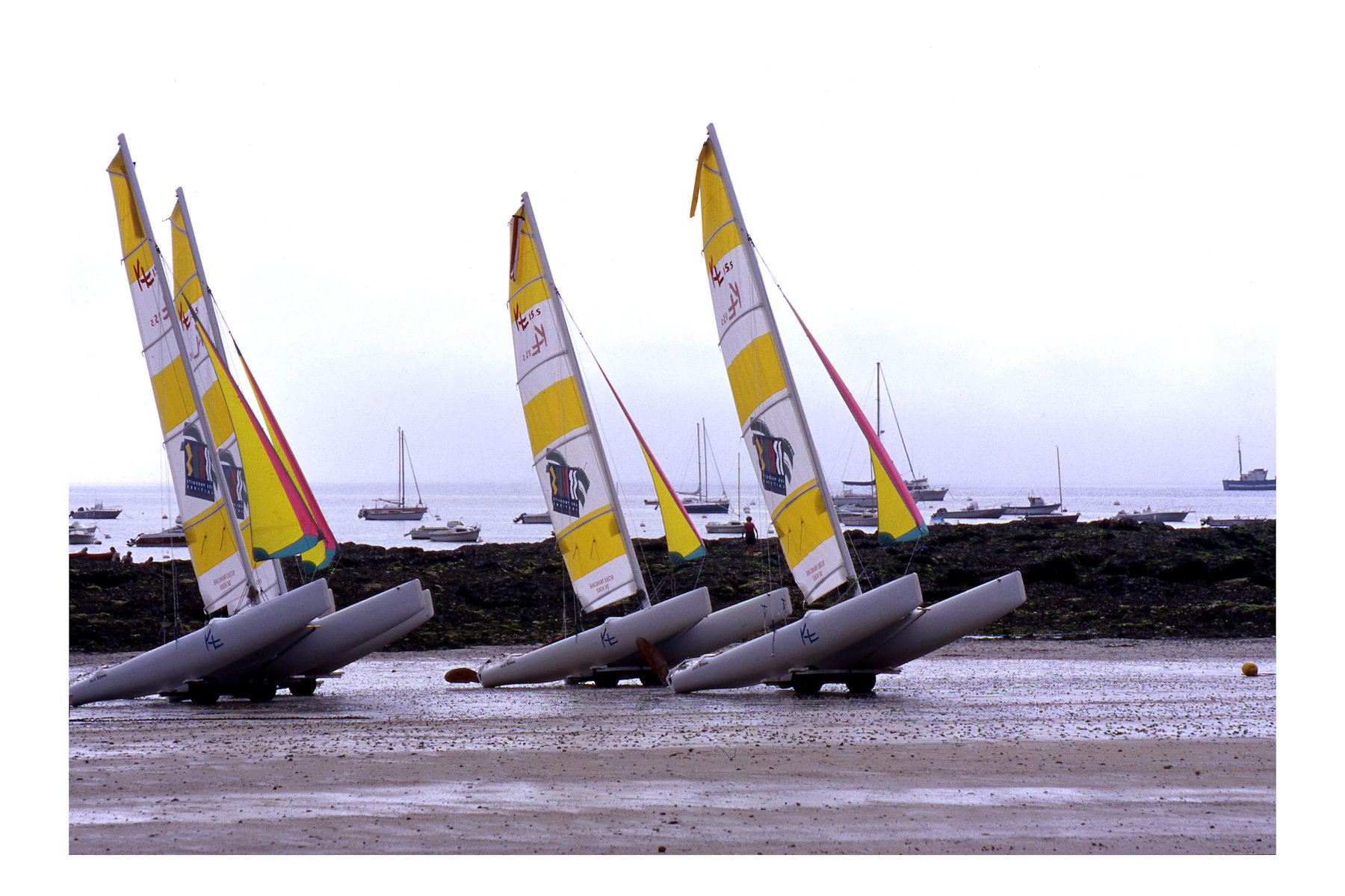 Catamaran en Bretagne.