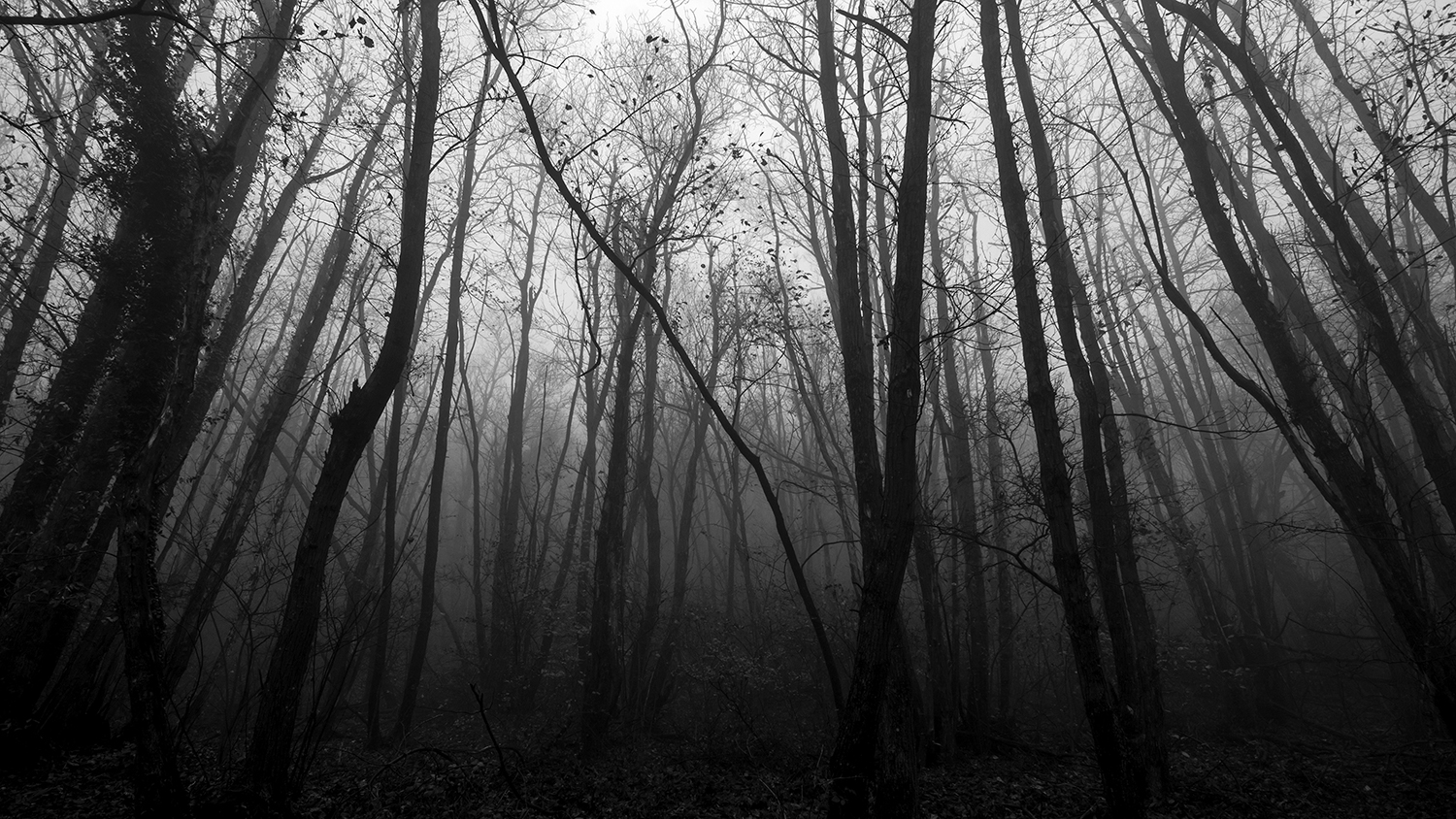 ... found myself in a dark forest...