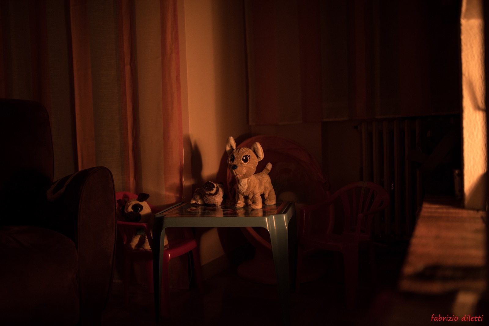 il guardiano del fuoco