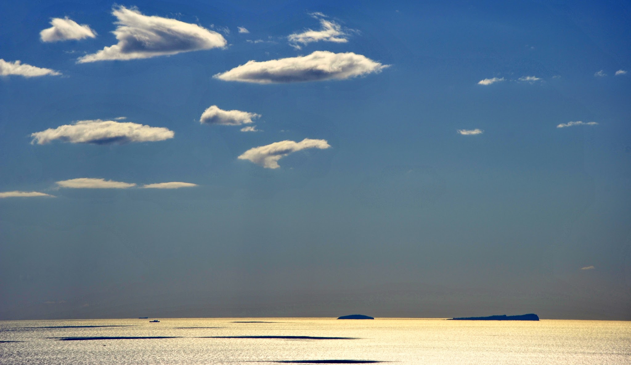 Beluga avvistati nel cielo...